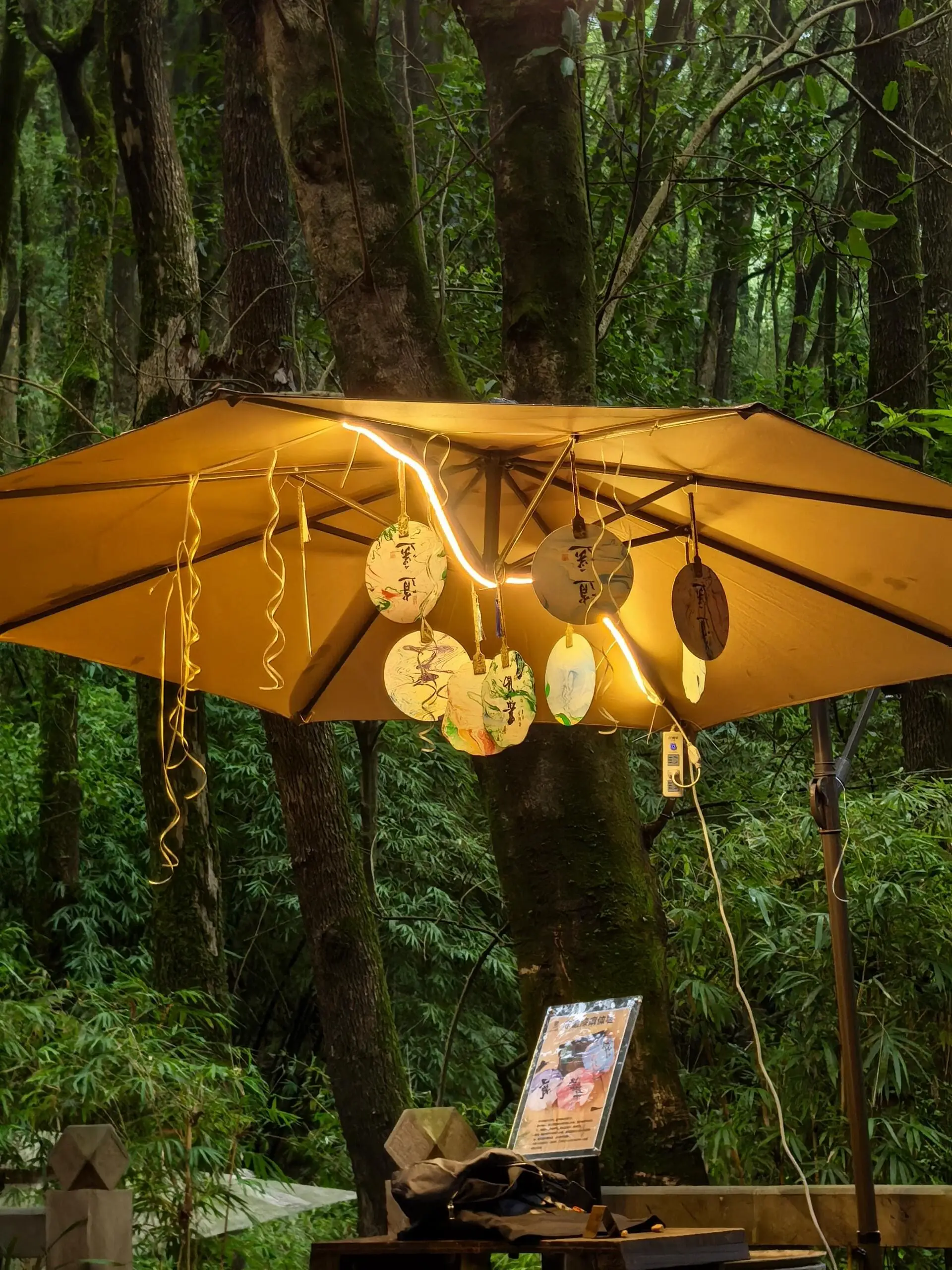 CTBU Back Mountain - 工商大学后山 Chongqing Tourist Attraction