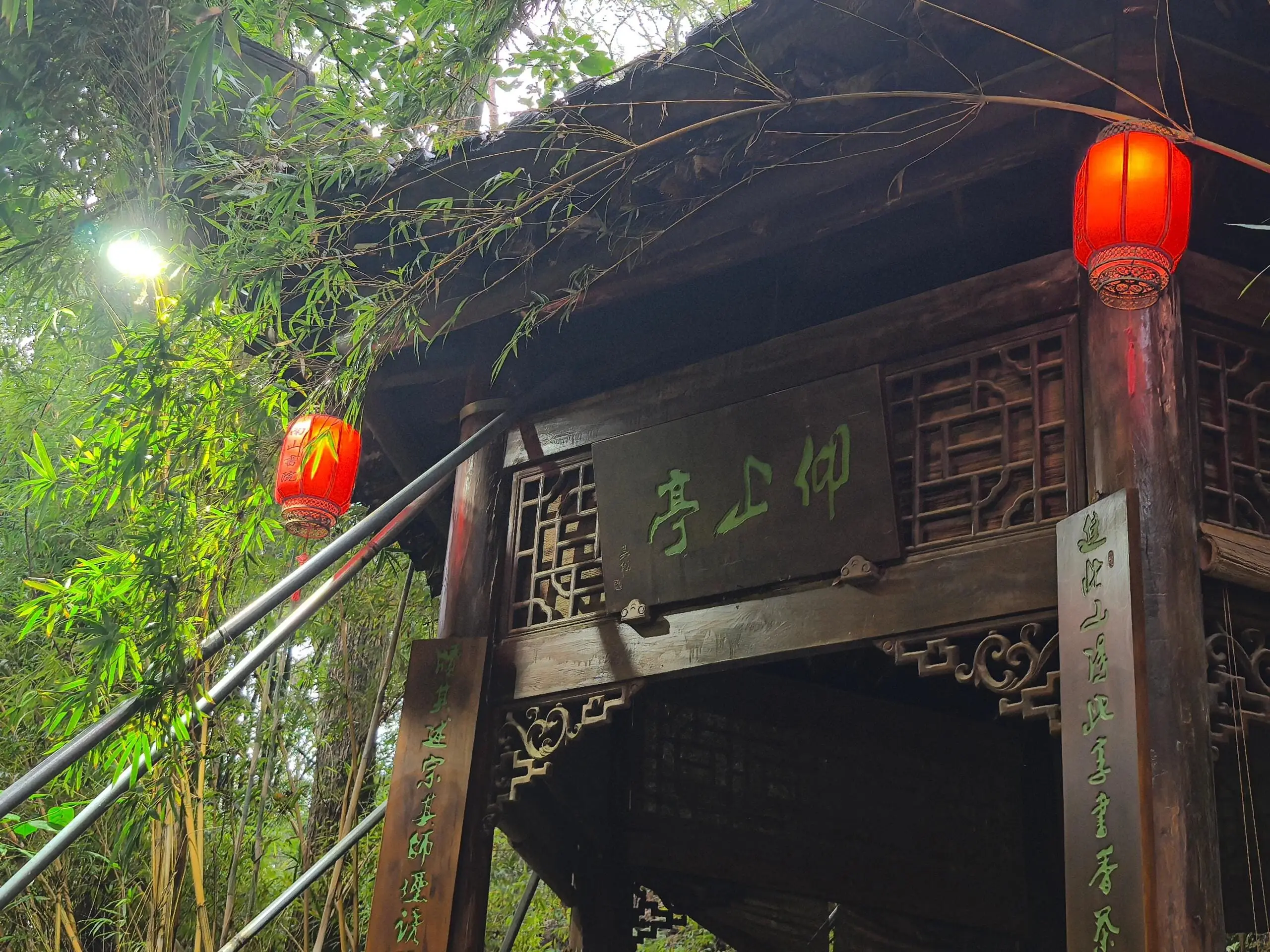 CTBU Back Mountain - 工商大学后山 Chongqing Tourist Attraction