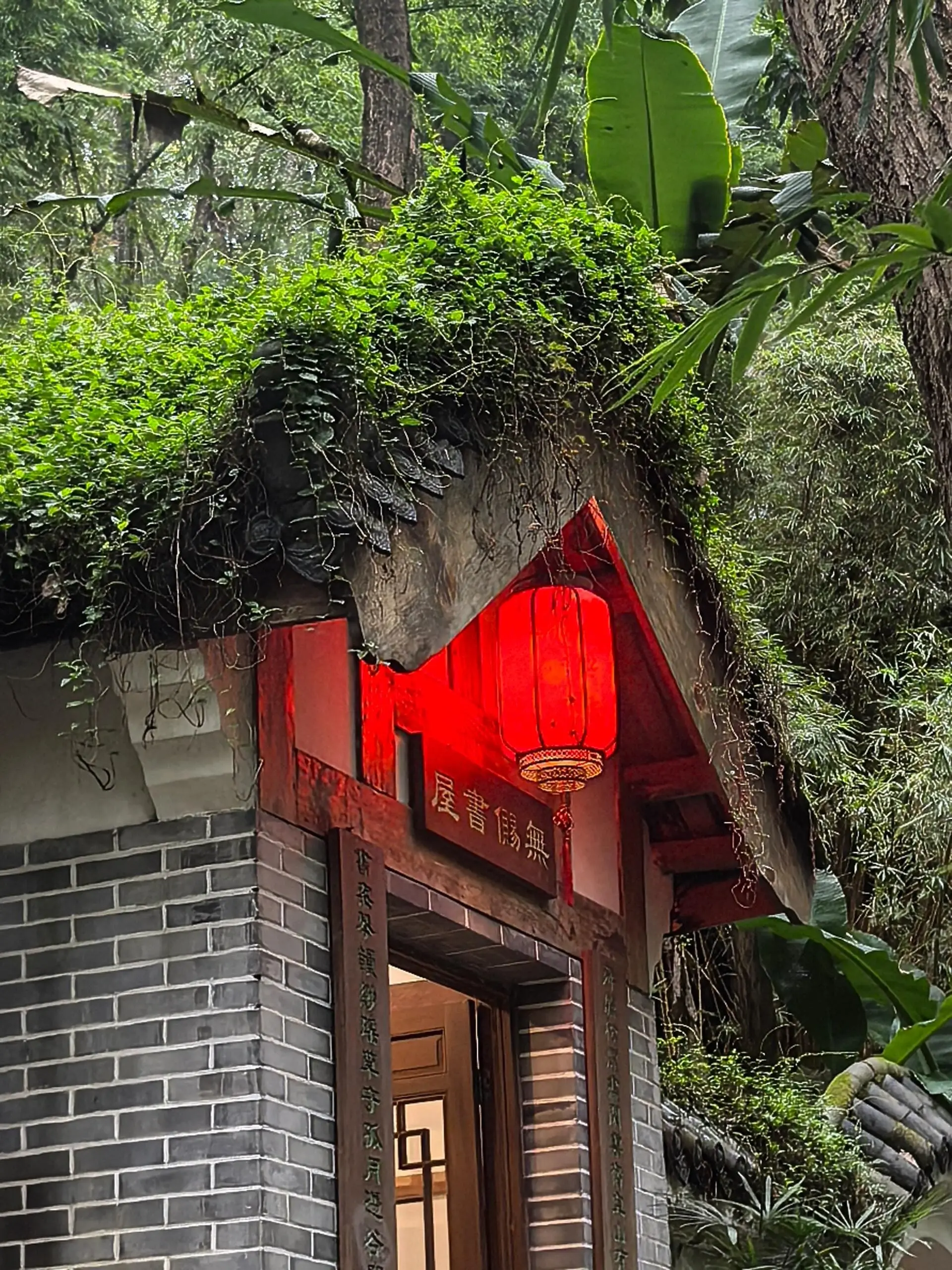 CTBU Back Mountain - 工商大学后山 Chongqing Tourist Attraction