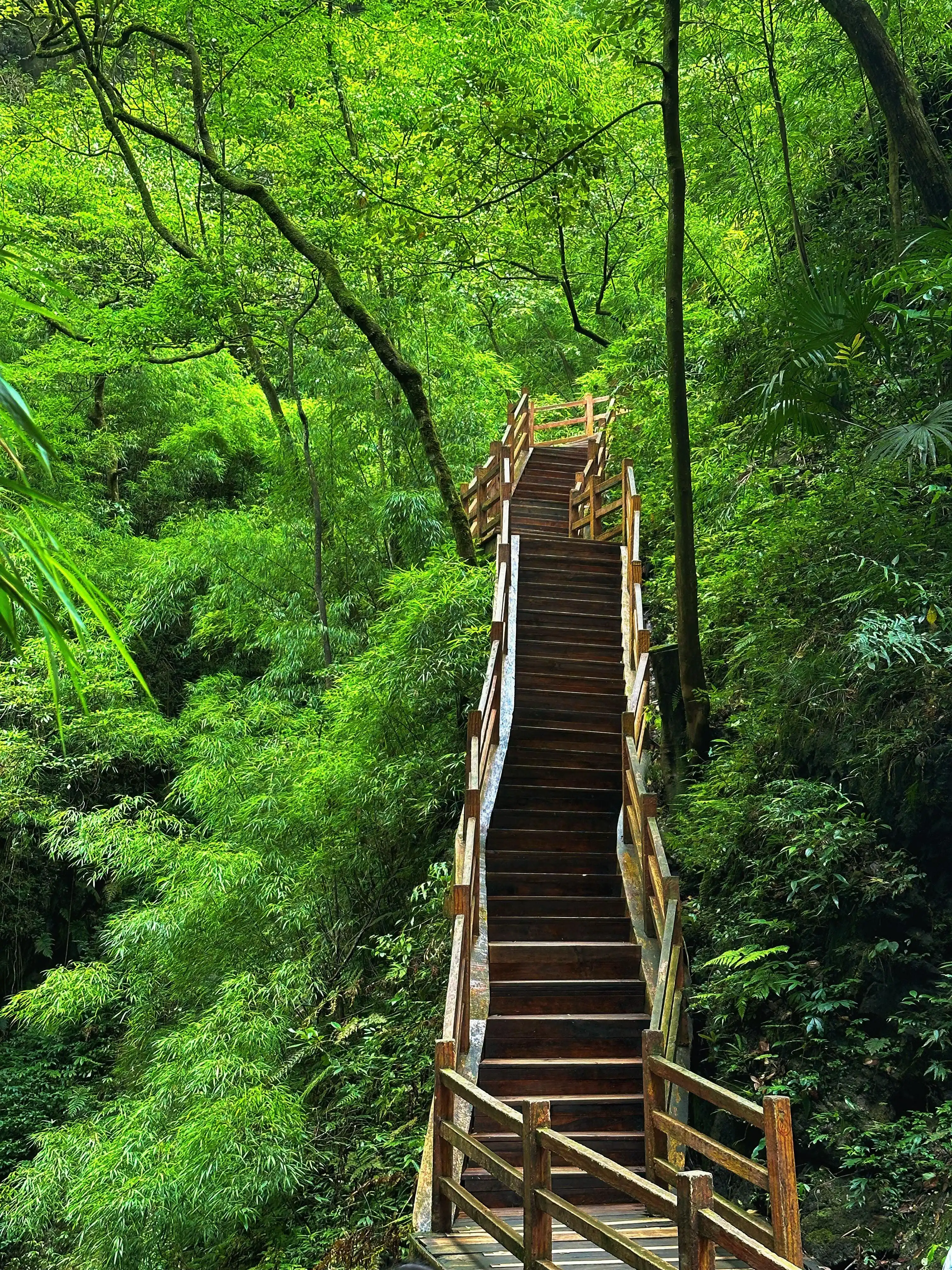 Black Valley - 万盛黑山谷 Chongqing Tourist Attraction