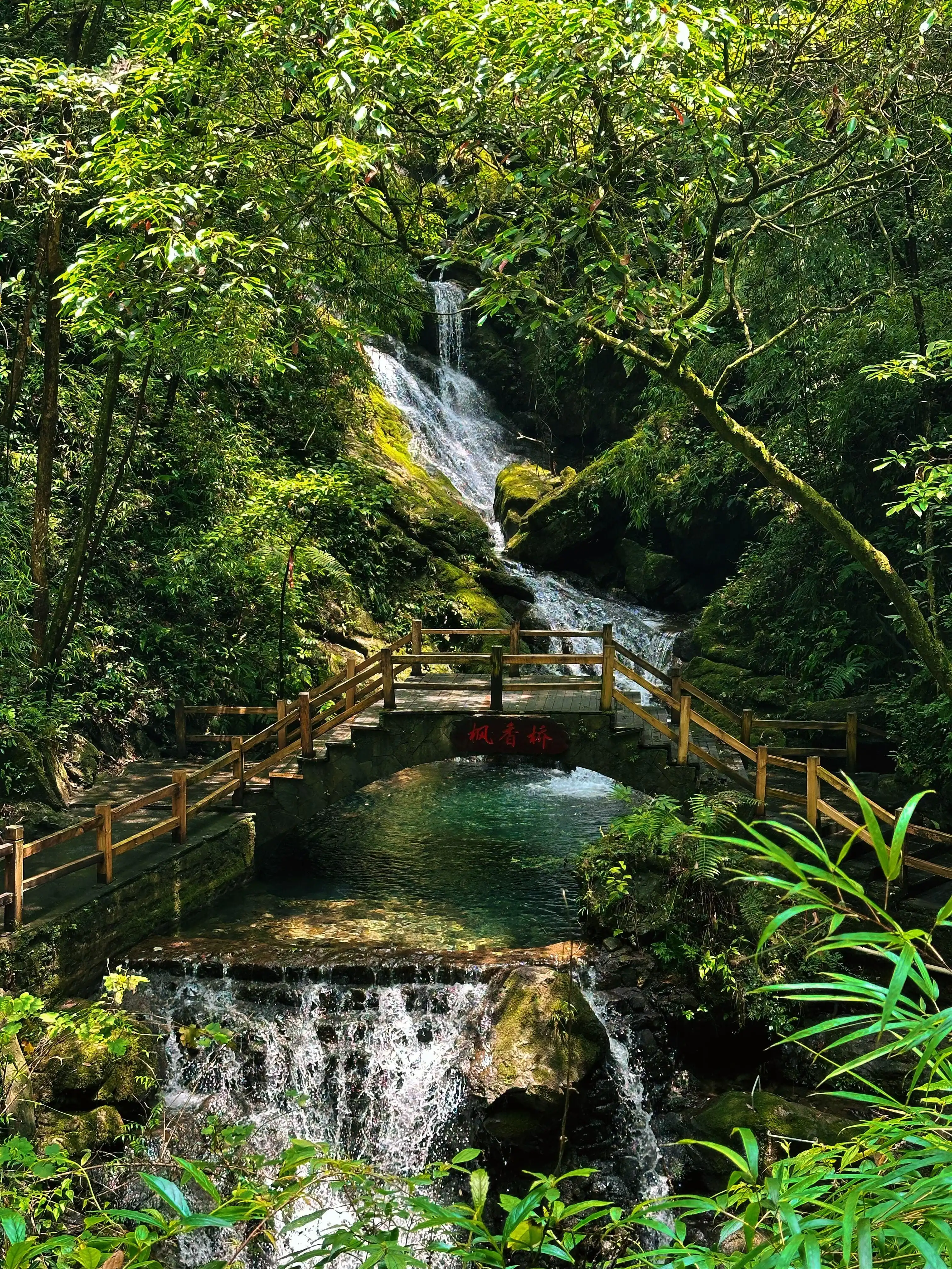 Black Valley - 万盛黑山谷 Chongqing Tourist Attraction