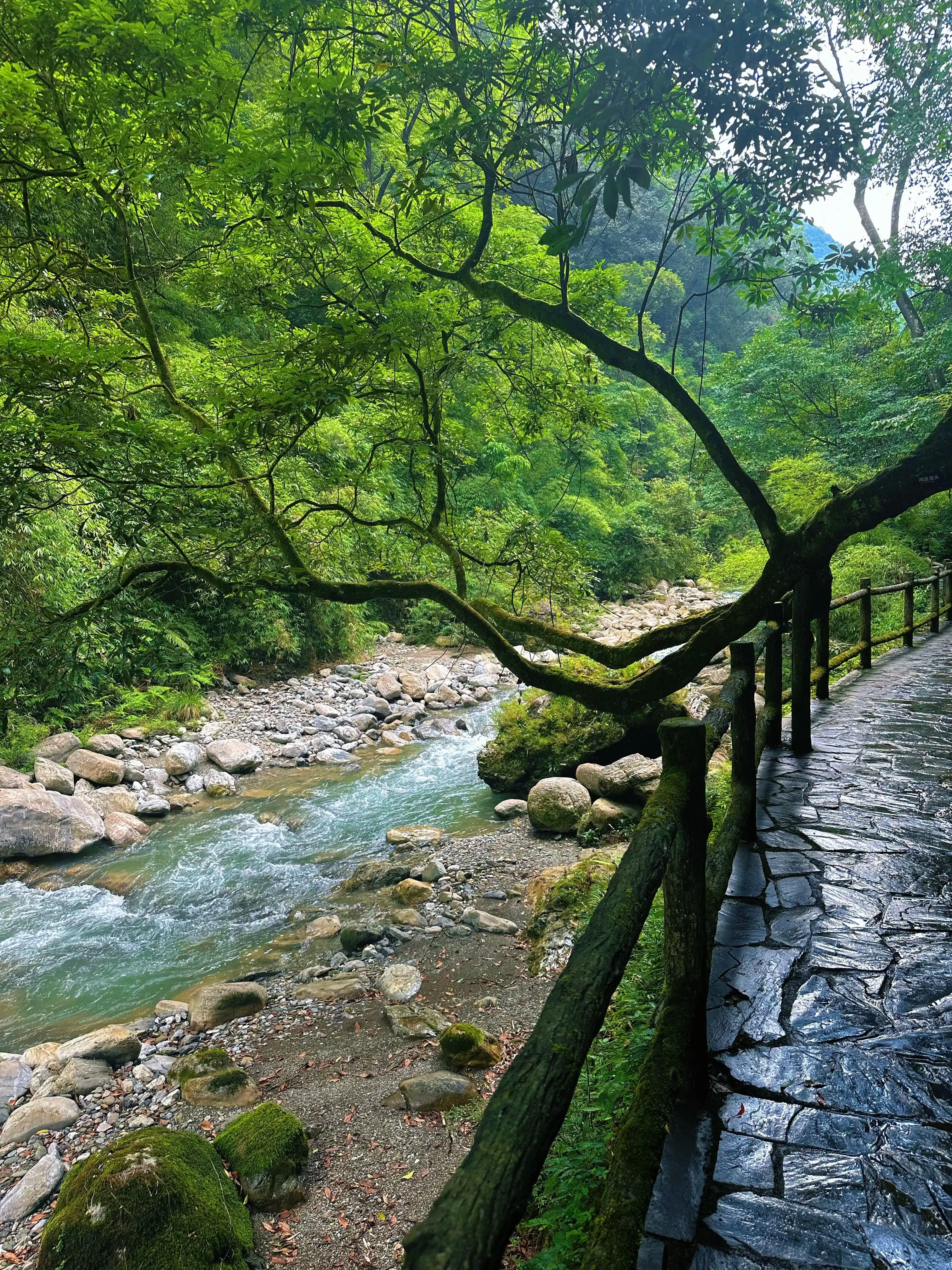 Black Valley - 万盛黑山谷 Chongqing Tourist Attraction