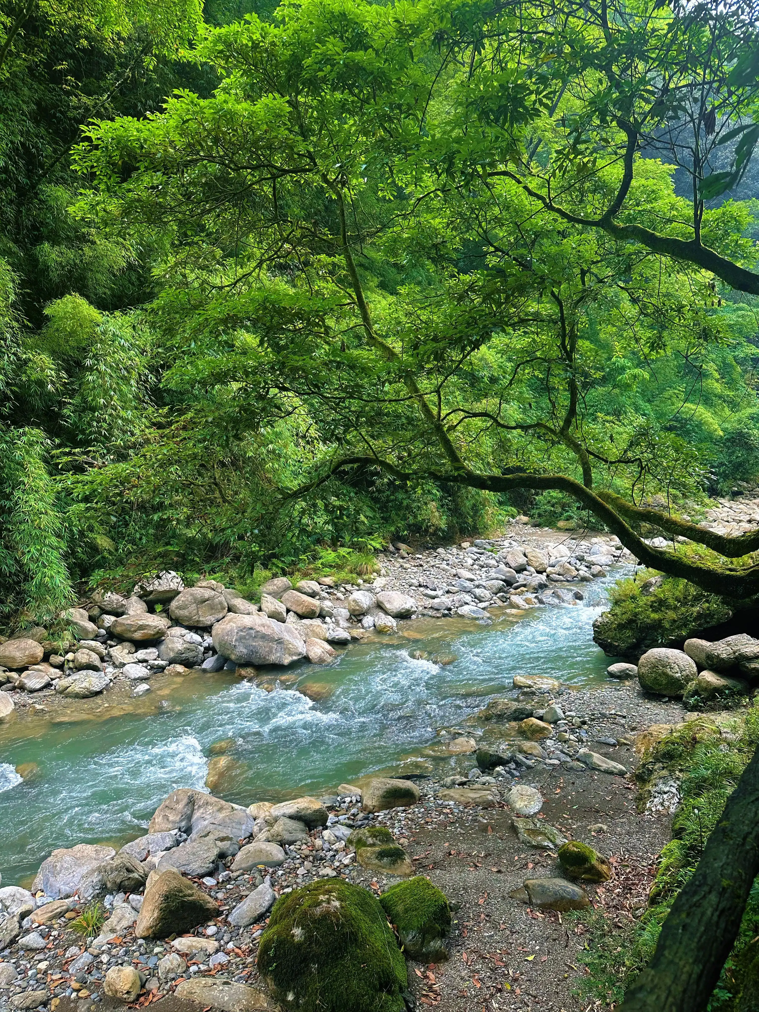 Black Valley - 万盛黑山谷 Chongqing Tourist Attraction