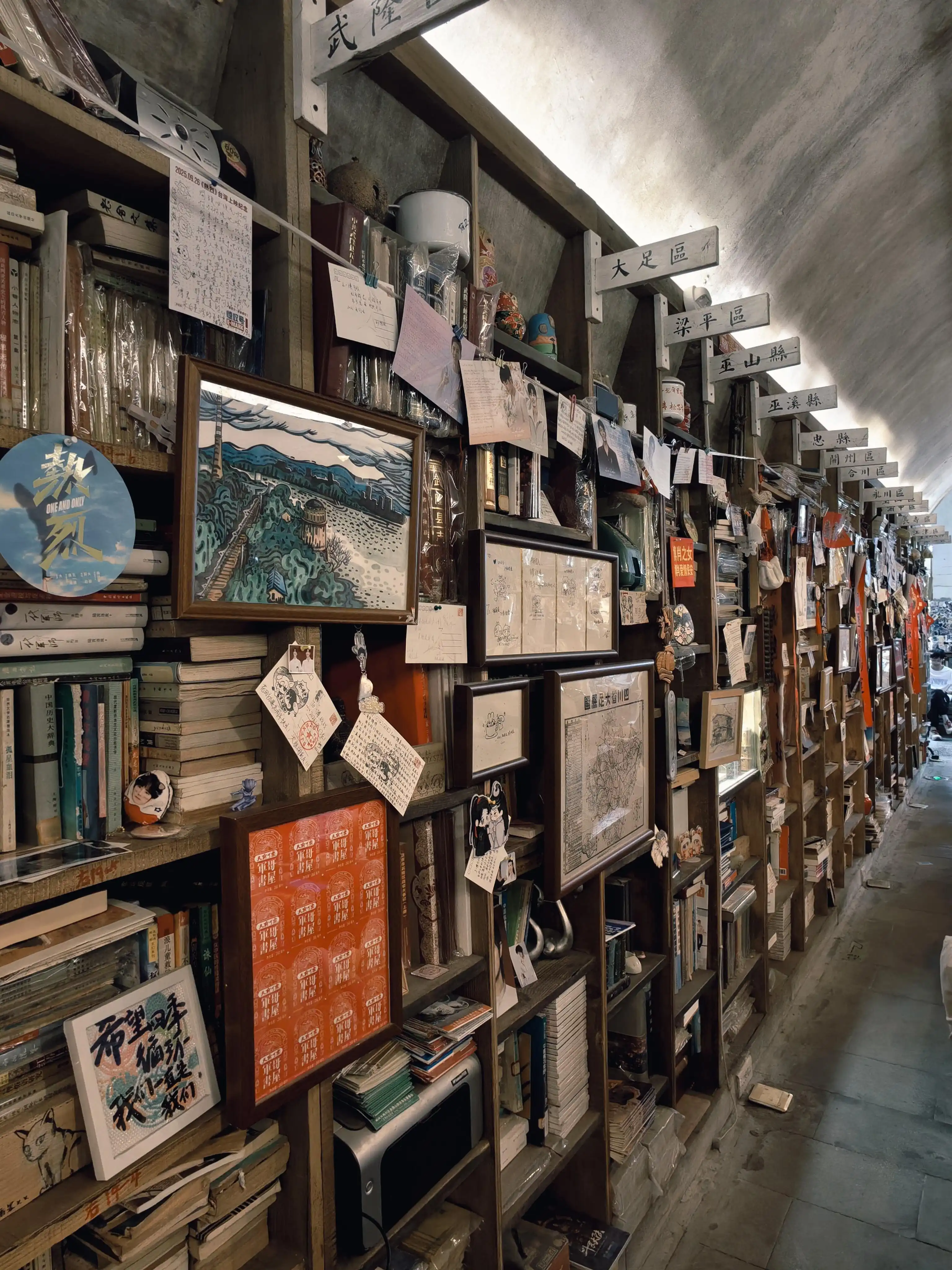 Brother Jun's Bookstore - 军哥书屋 Chongqing Tourist Attraction