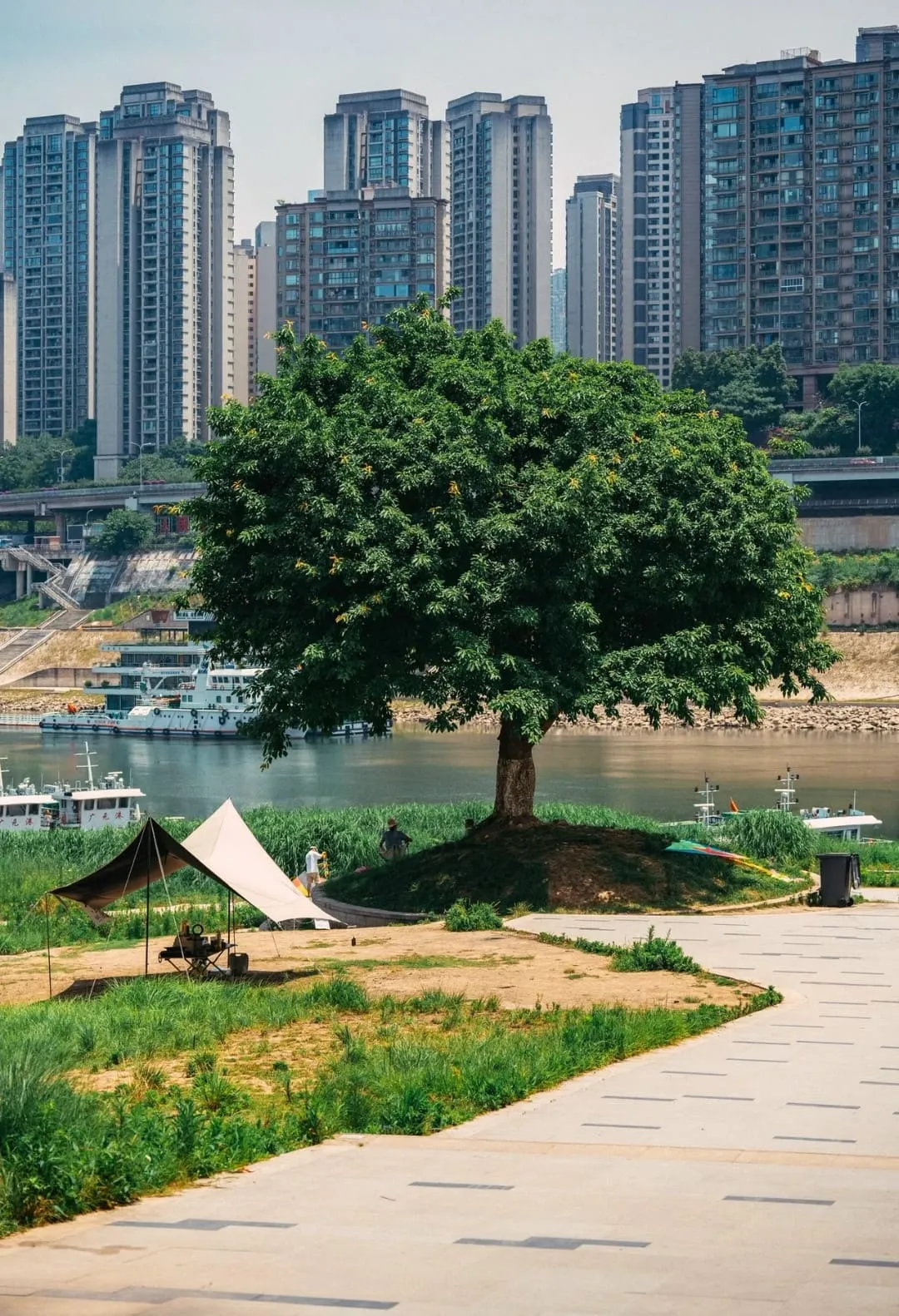 Beibin Road Promenade - 北滨路漫客步道 Chongqing Tourist Attraction