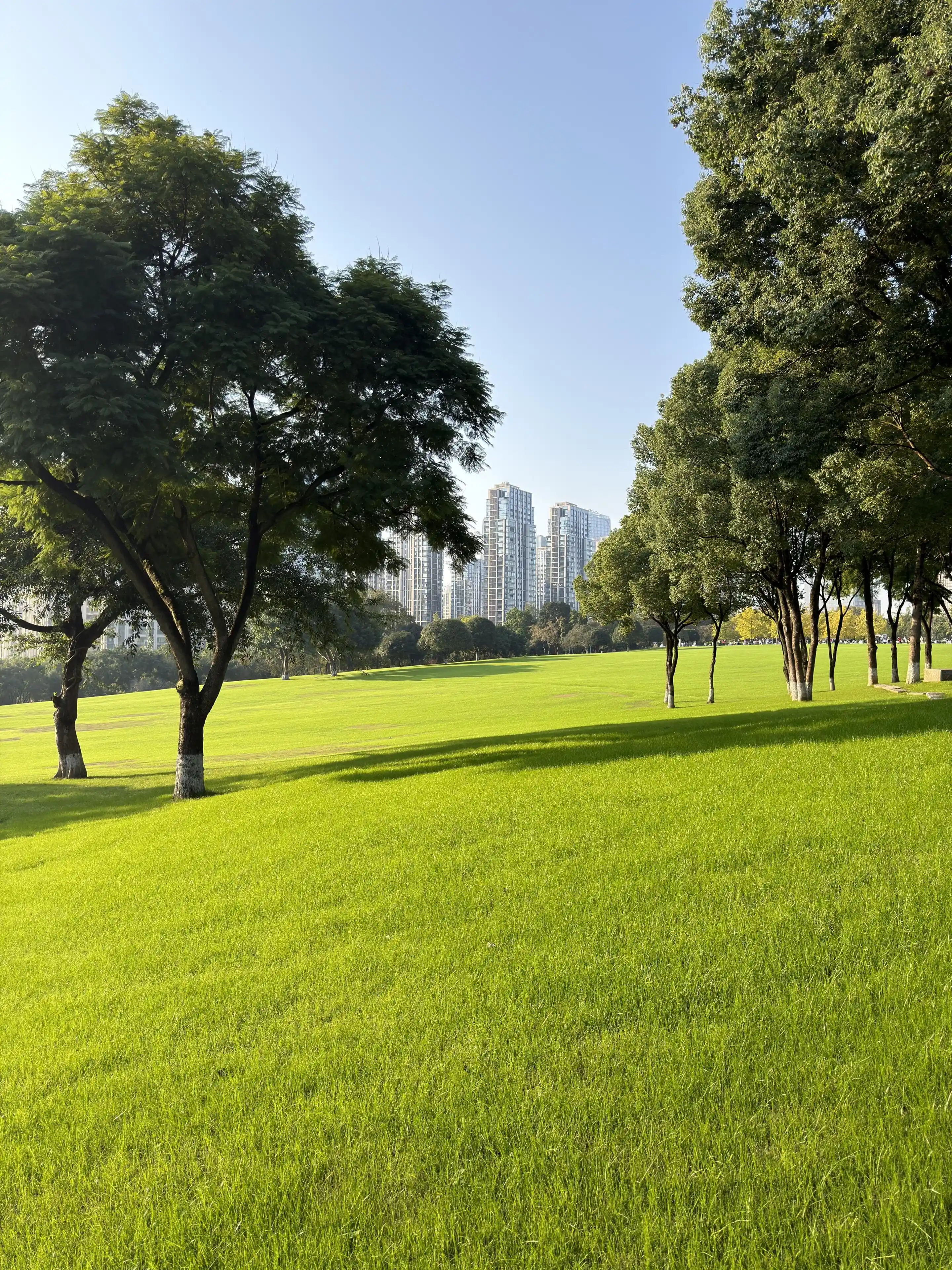 Chongqing Central Park - 重庆中央公园 Chongqing Tourist Attraction
