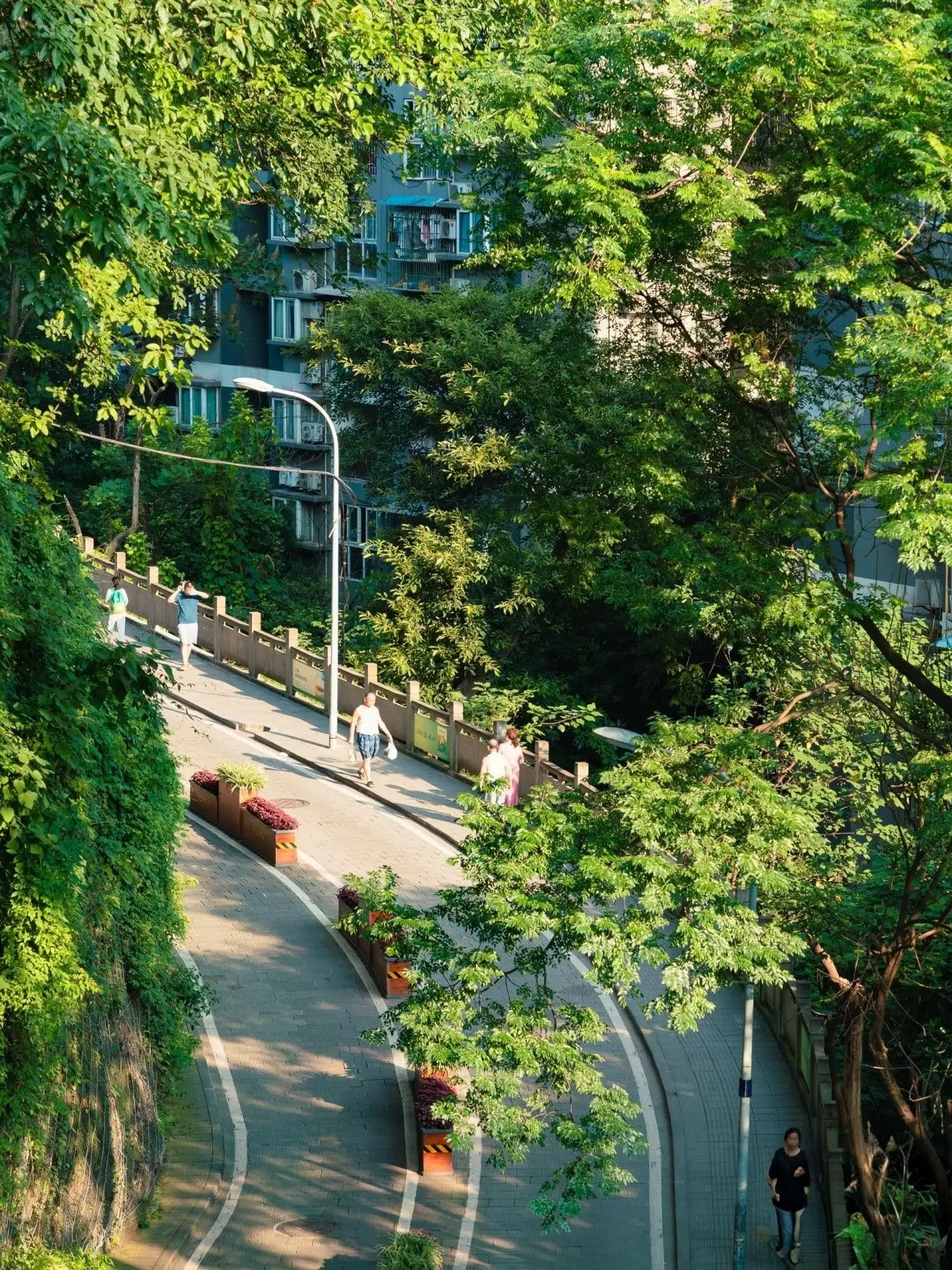 Locals walking along a winding, multi-level pedestrian path in Chongqing, surrounded by lush green trees and bright summer sunlight.