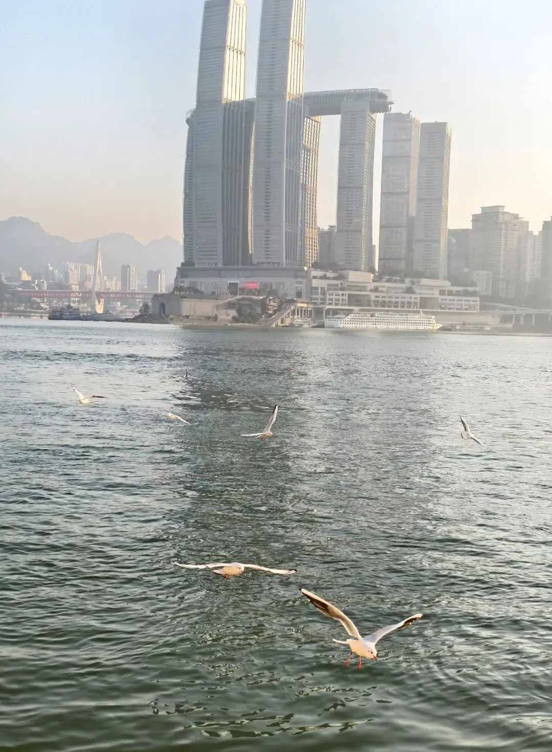 Danzishi Ferry Pier - 弹子石轮渡码头 Chongqing Tourist Attraction
