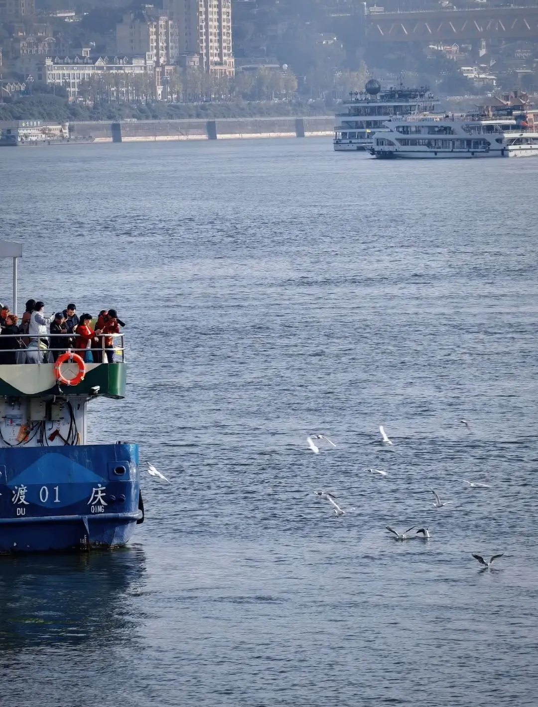 Danzishi Ferry Pier - 弹子石轮渡码头 Chongqing Tourist Attraction