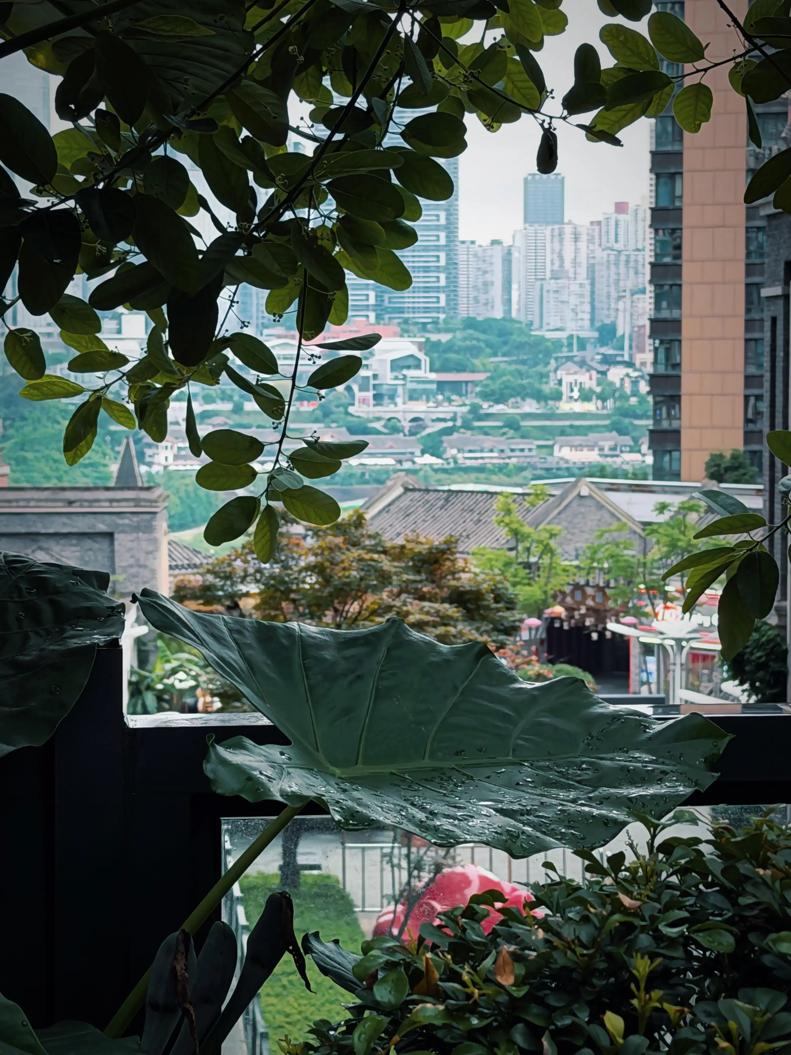Danzishi Old Street - 弹子石老街 Chongqing Tourist Attraction