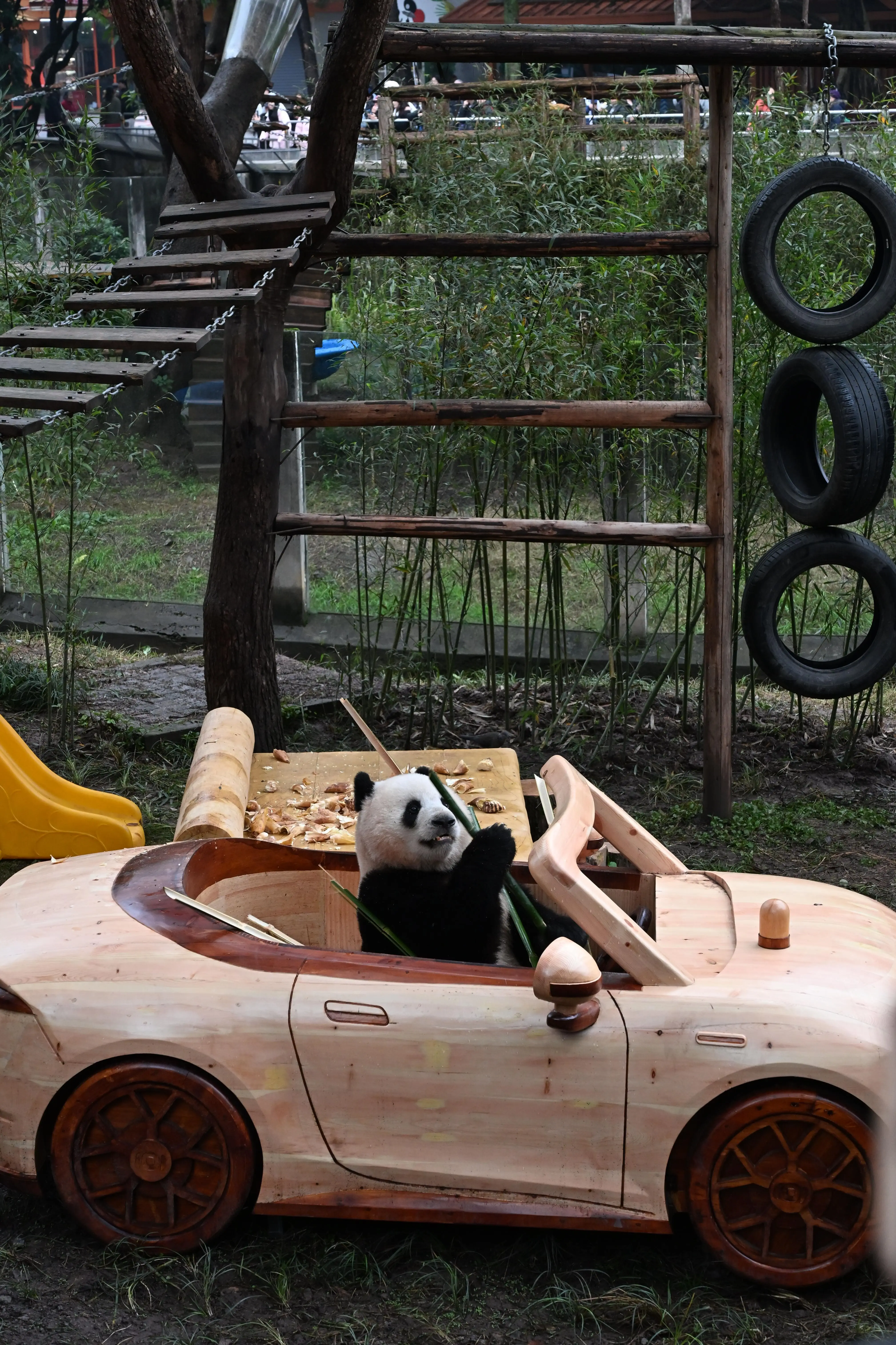 DIY Panda Tour