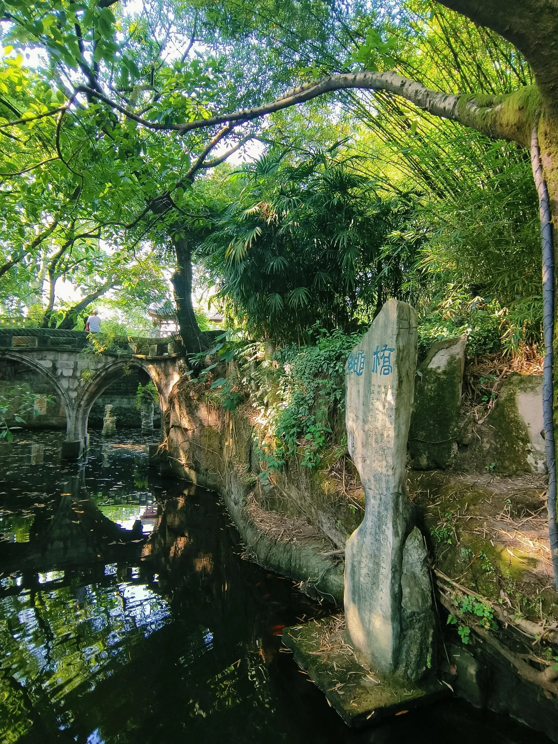 E'ling Park - 鹅岭公园 Chongqing Tourist Attraction