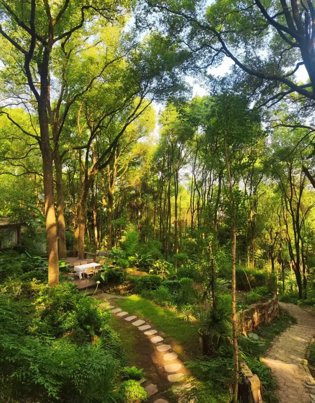 Fangniu Village - 放牛村 Chongqing Tourist Attraction