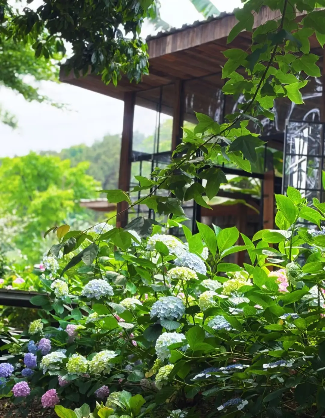 Fangniu Village - 放牛村 Chongqing Tourist Attraction
