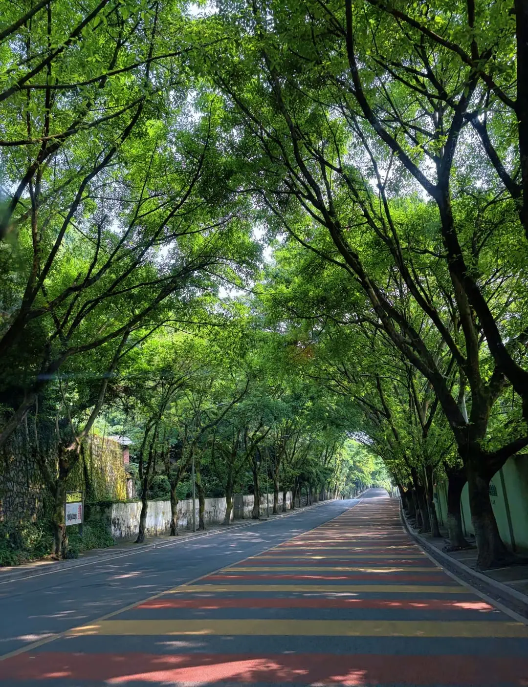 Fangniu Village - 放牛村 Chongqing Tourist Attraction