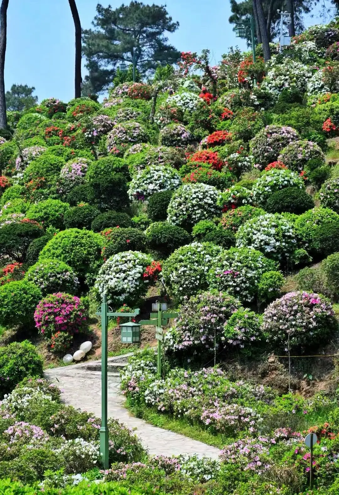 Fangniu Village - 放牛村 Chongqing Tourist Attraction