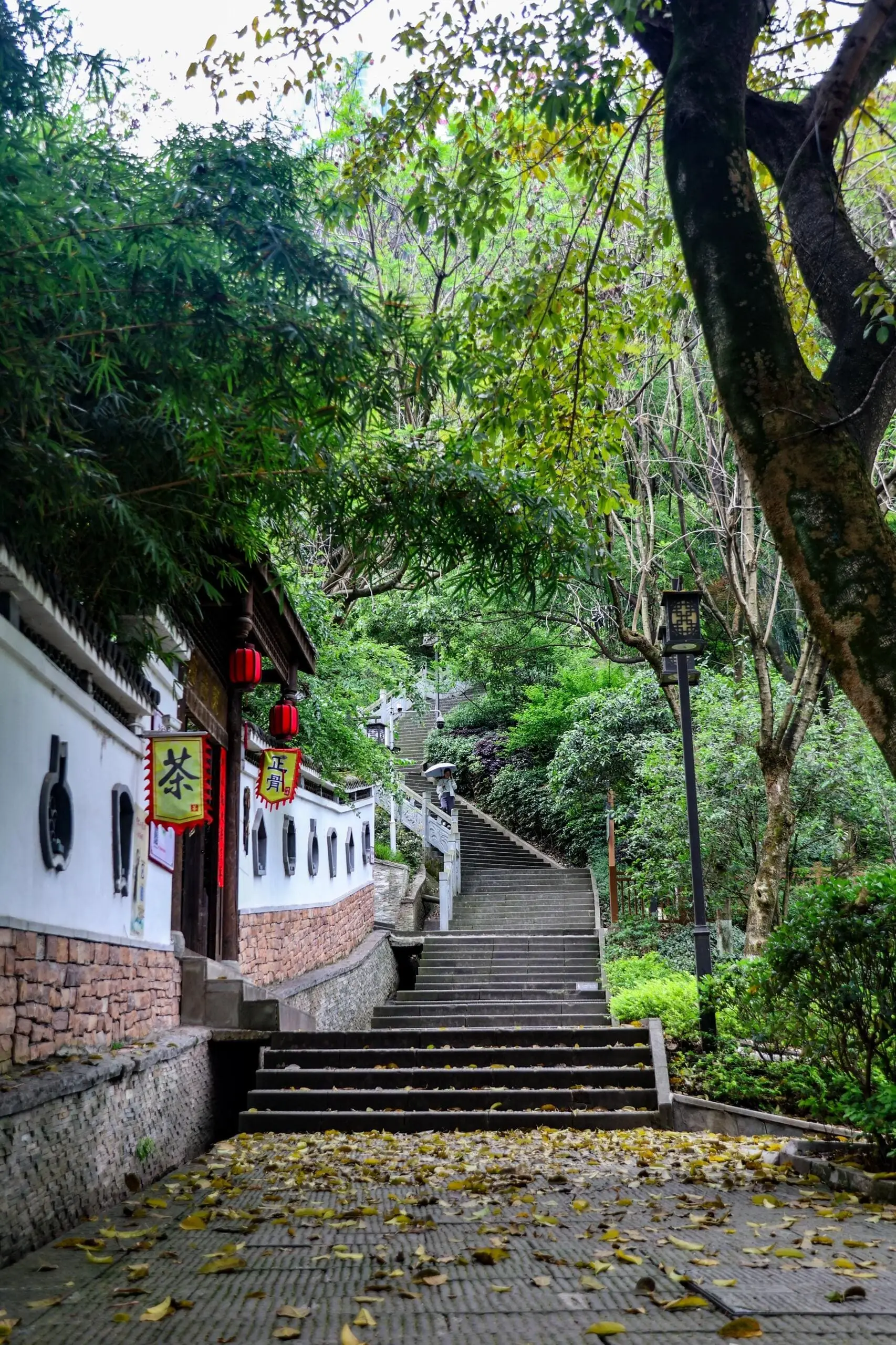 Fotuguan Park - 佛图关公园 Chongqing Tourist Attraction