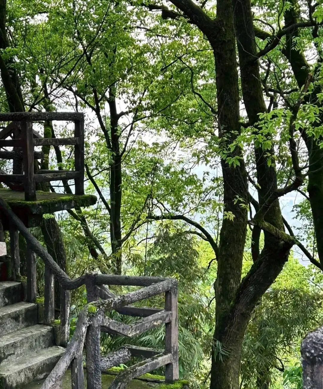 Geleshan Cableway - 歌乐山索道 Chongqing Tourist Attraction