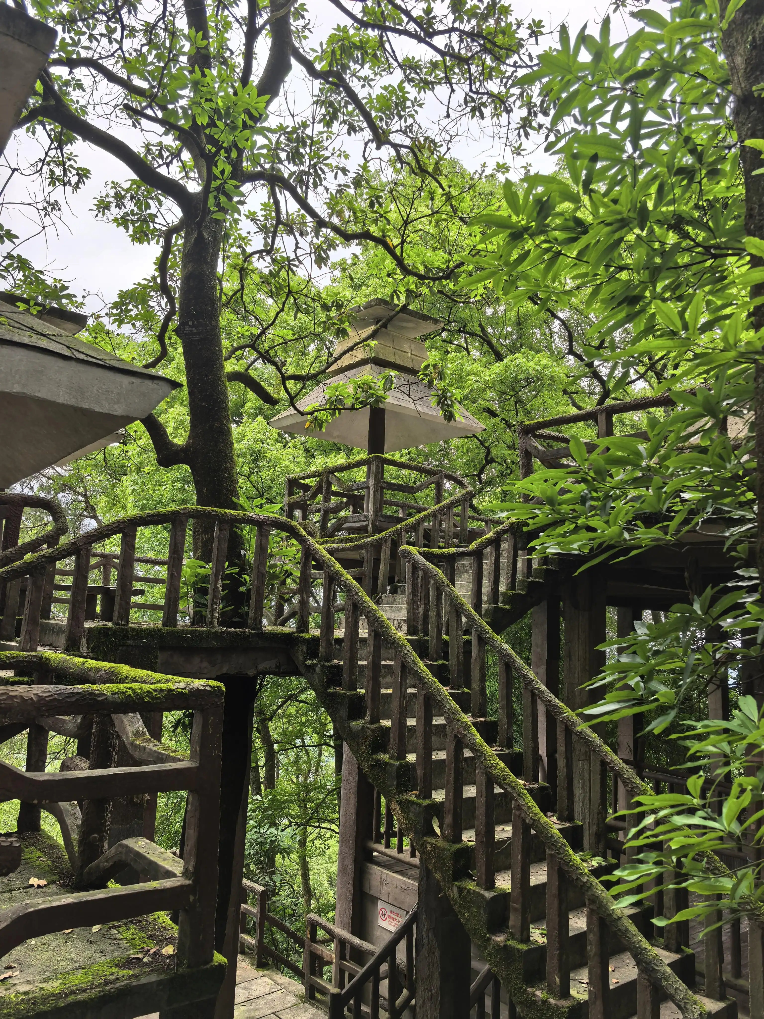 Geleshan Forest Park - 歌乐山森林公园 Chongqing Tourist Attraction