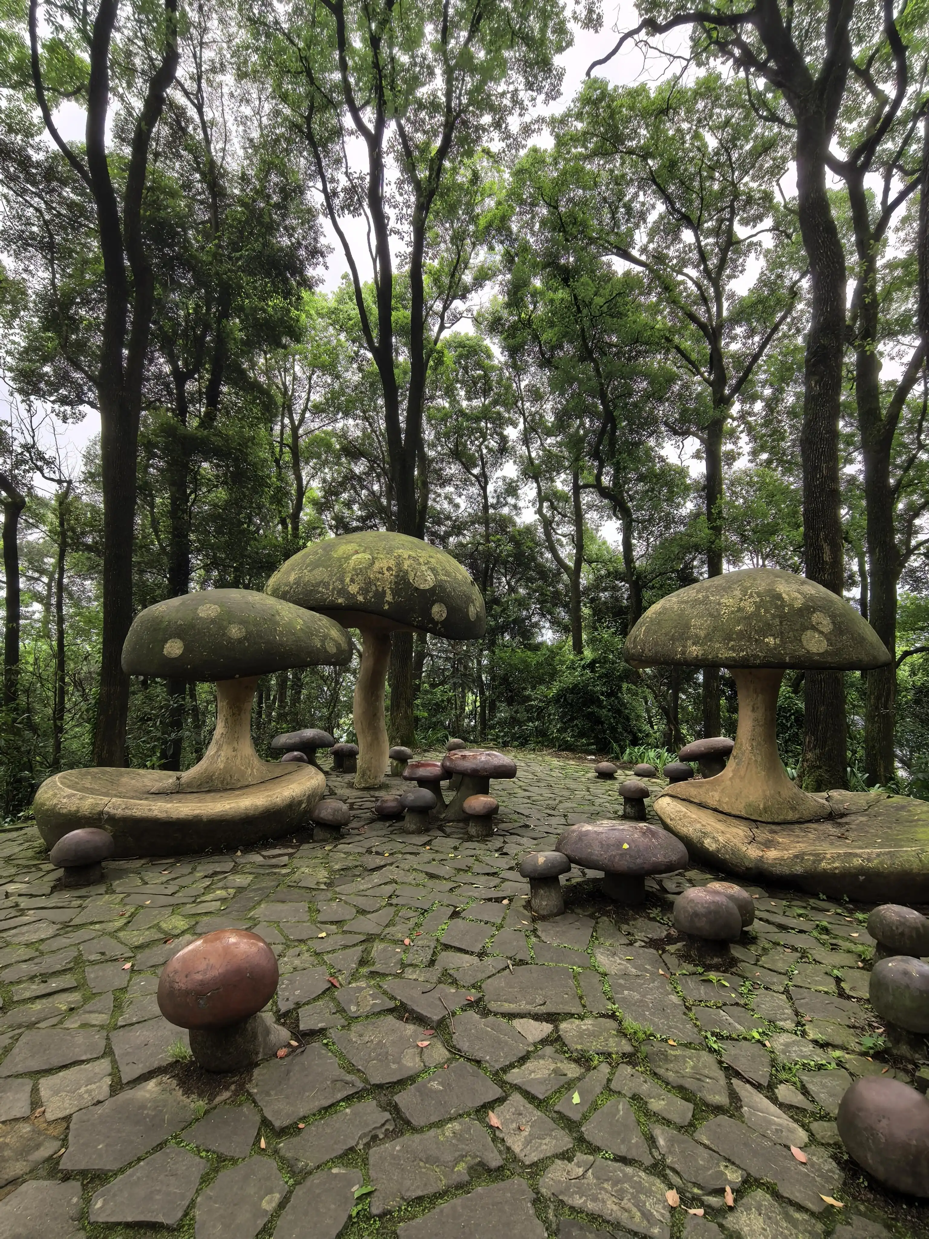 Geleshan Forest Park - 歌乐山森林公园 Chongqing Tourist Attraction