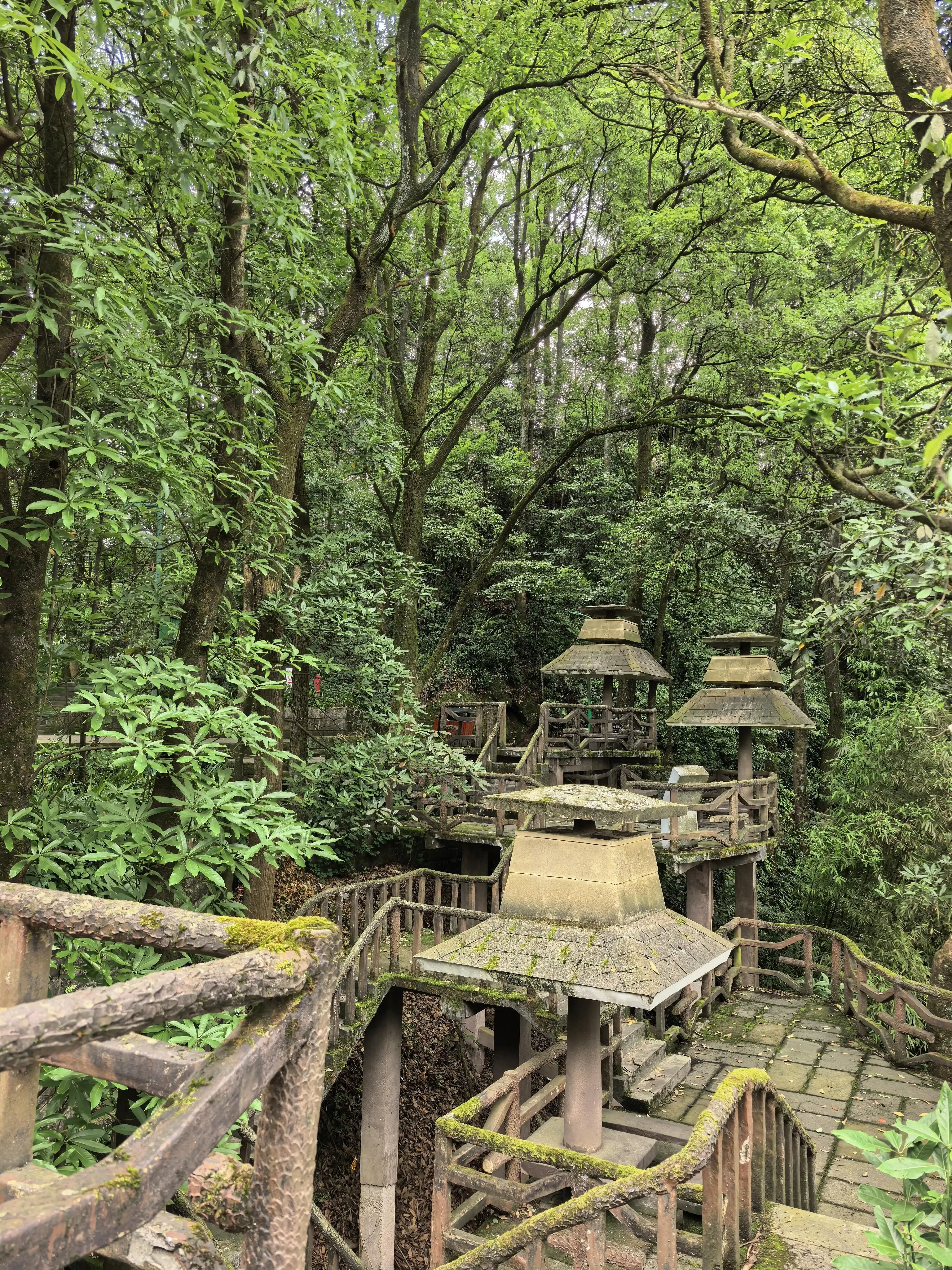 Geleshan Forest Park - 歌乐山森林公园 Chongqing Tourist Attraction