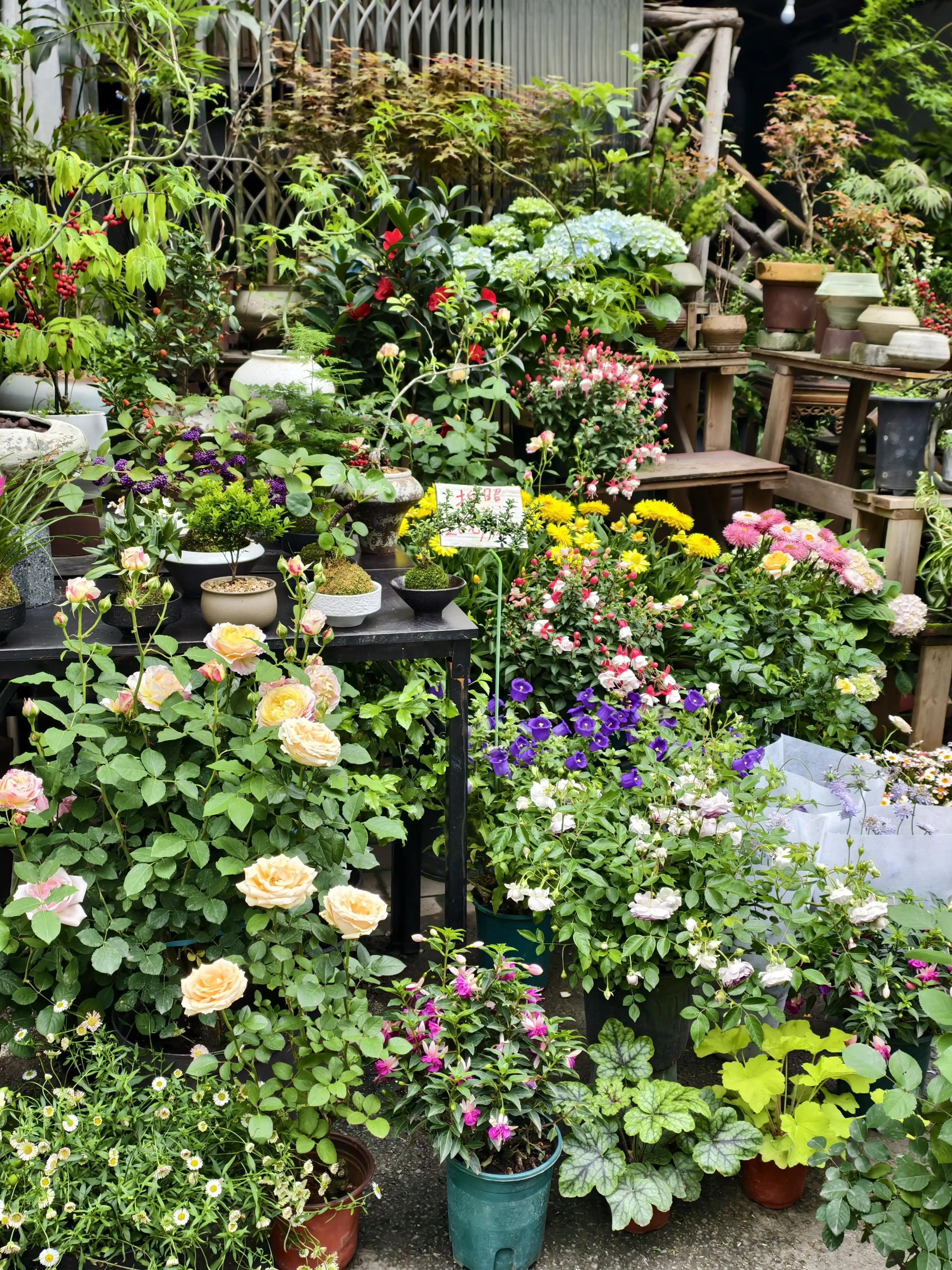 Grandma Xiong's Garden - 熊婆婆的花园 Chongqing Tourist Attraction