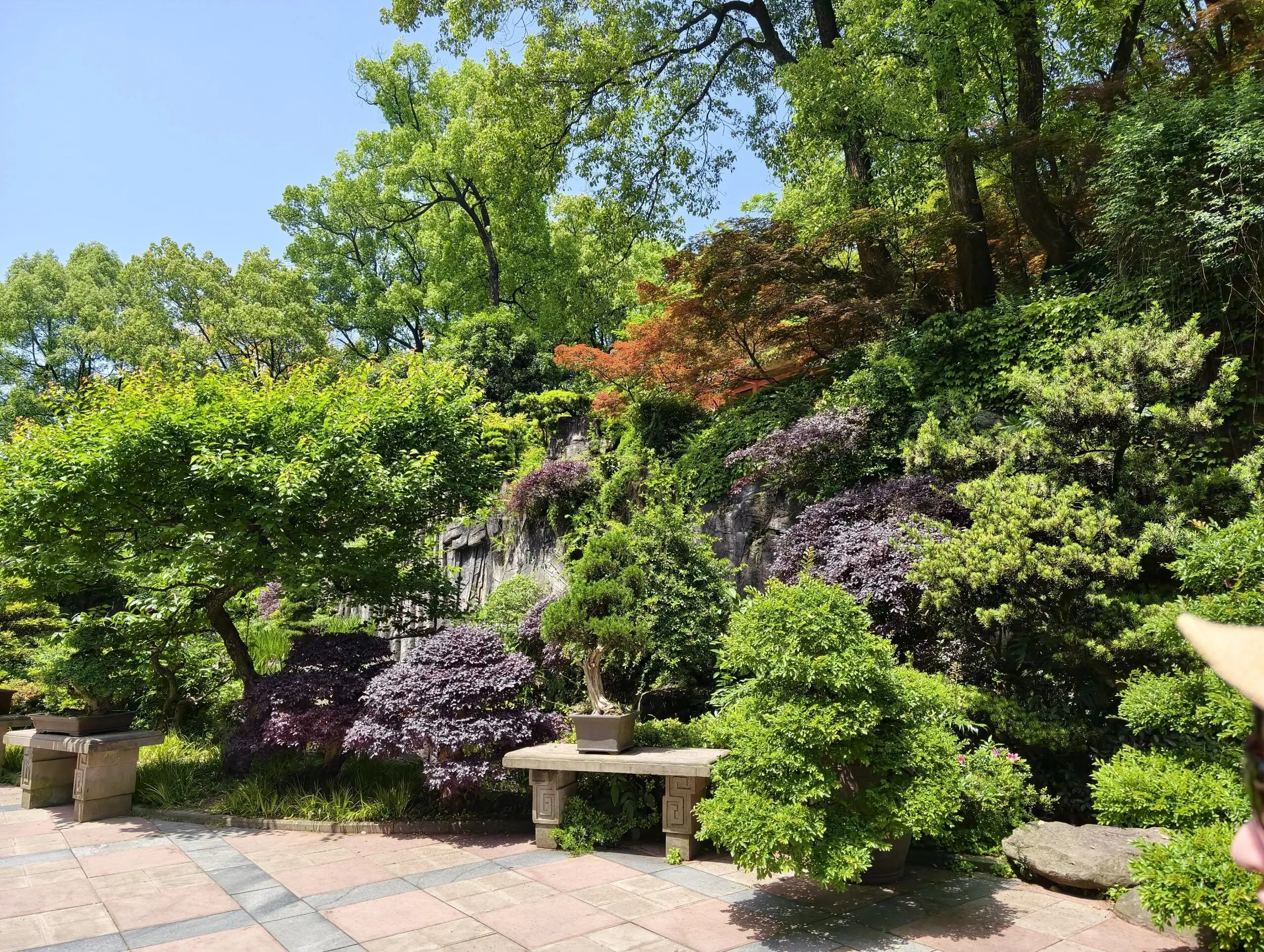 Nanshan Glasshouse - 南山植物园温室 Chongqing Tourist Attraction