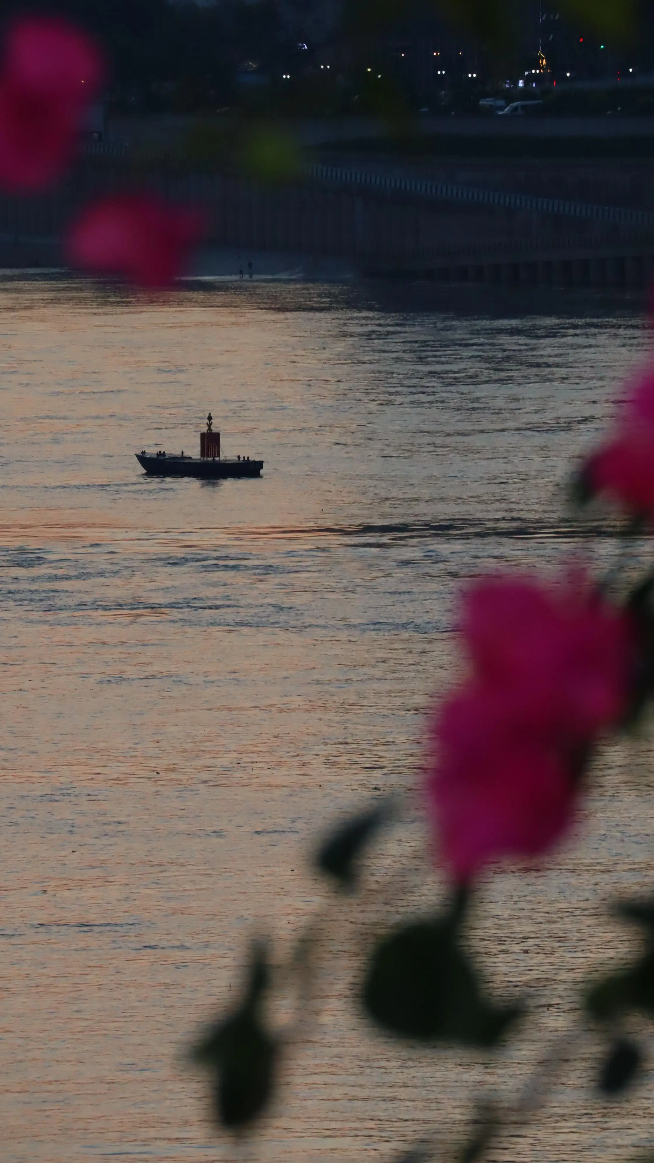 Haitang Yanyu Park - 海棠烟雨公园 Chongqing Tourist Attraction