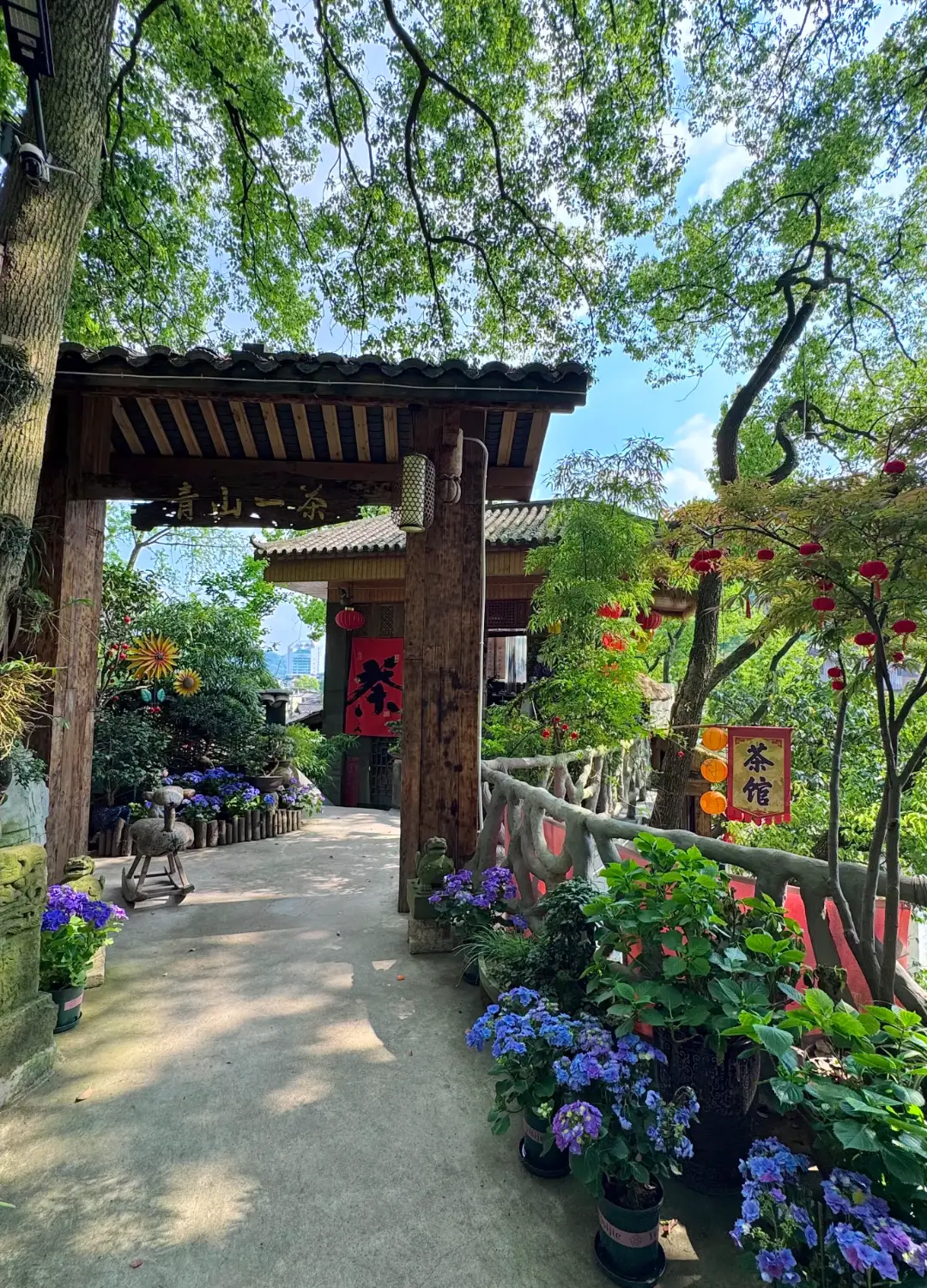 Huangjue Ancient Trail - 黄桷古道 Chongqing Tourist Attraction