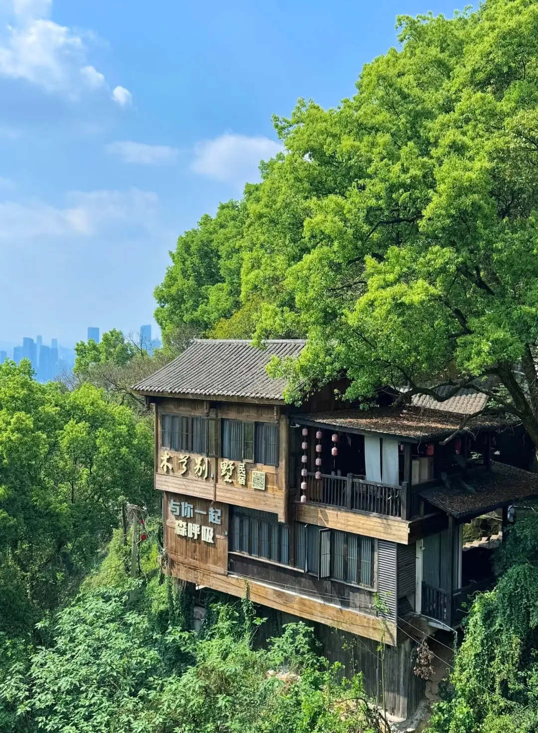 Huangjue Ancient Trail - 黄桷古道 Chongqing Tourist Attraction