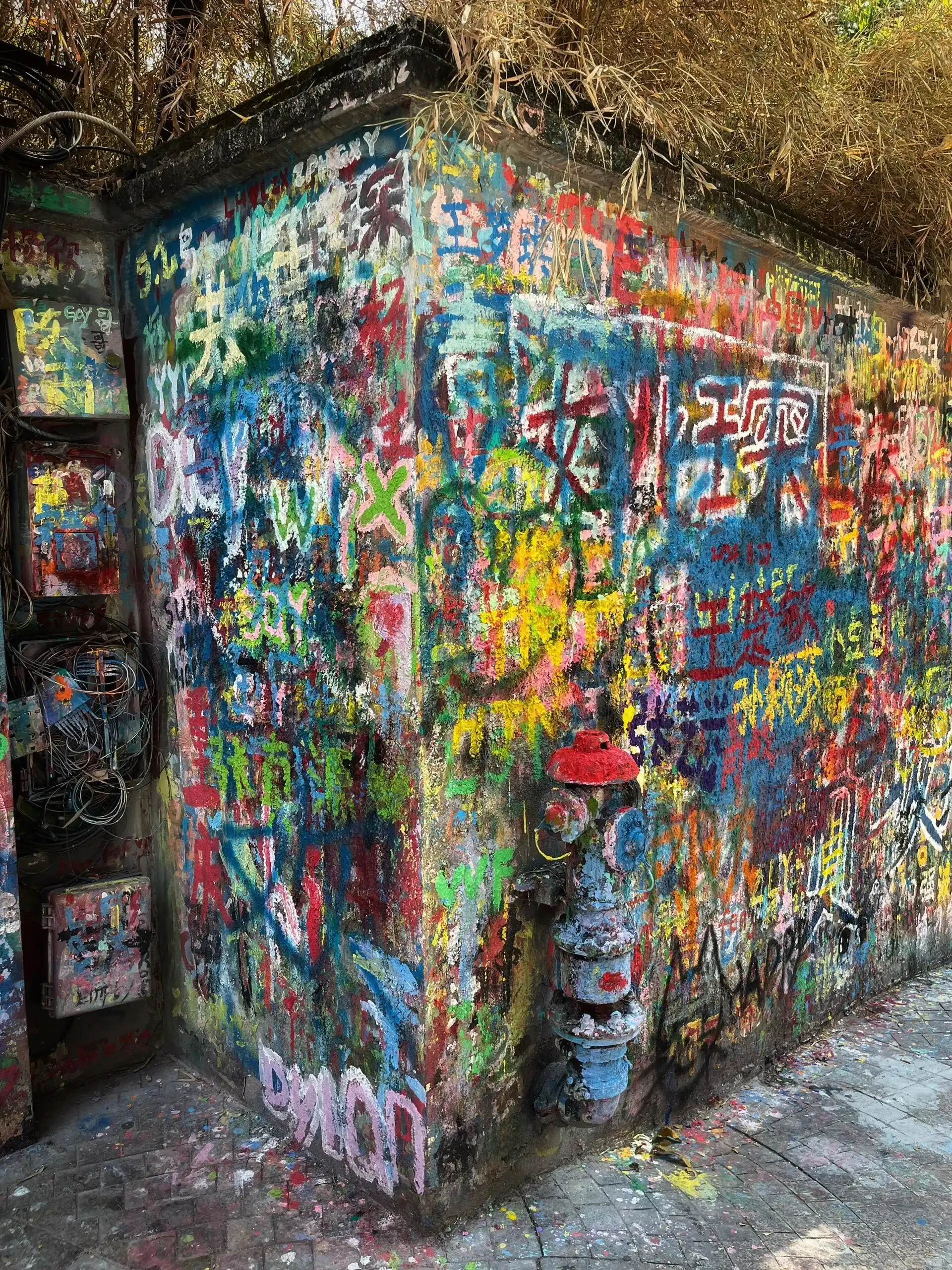 Huangjueping Graffiti Street - 黄桷坪涂鸦艺术街 Chongqing Tourist Attraction