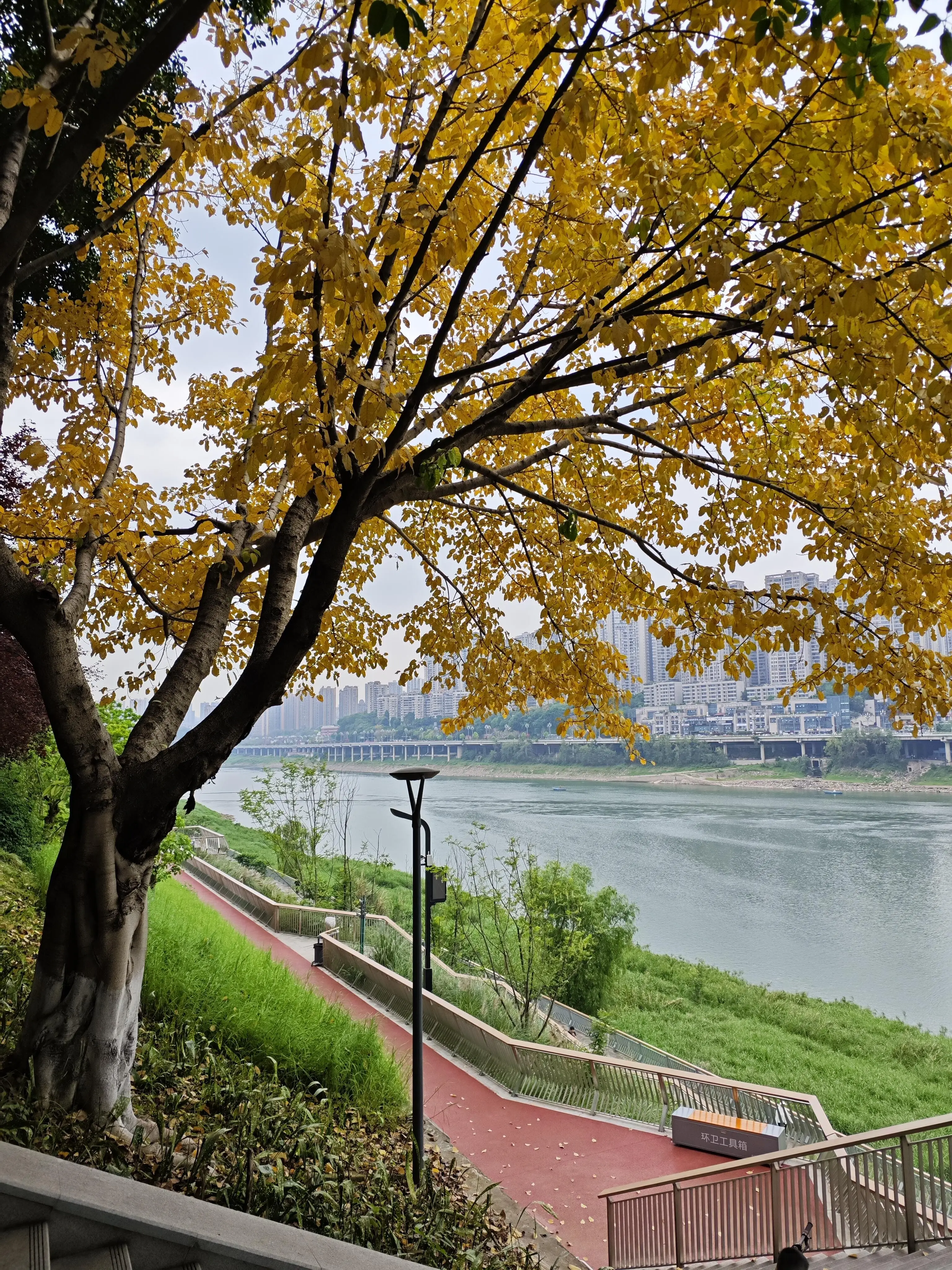 Jiabin Road Riverwalk - 嘉陵江滨江路 Chongqing Tourist Attraction