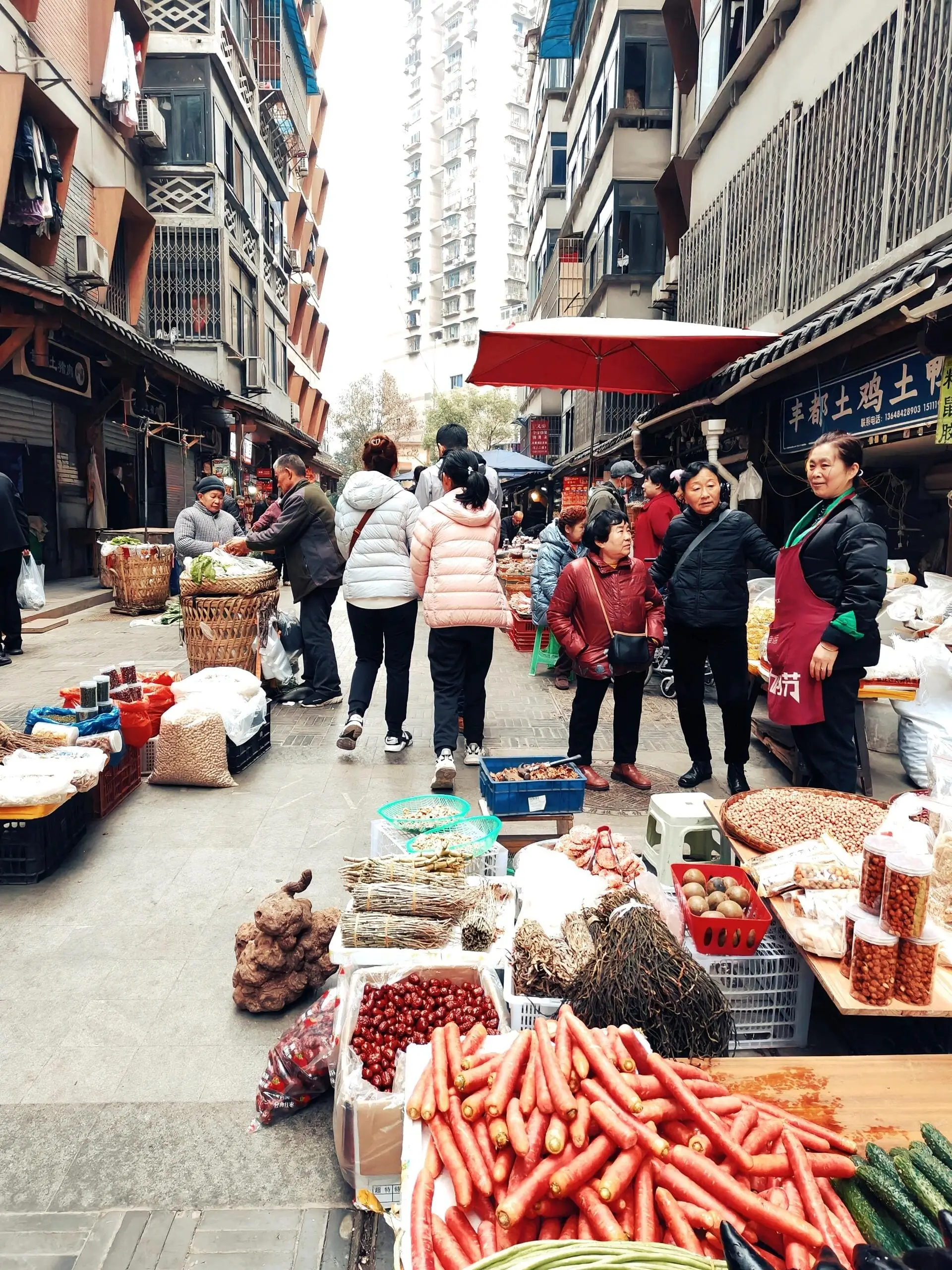 Luzumiao Flower Market - 鲁祖庙花市 Chongqing Tourist Attraction