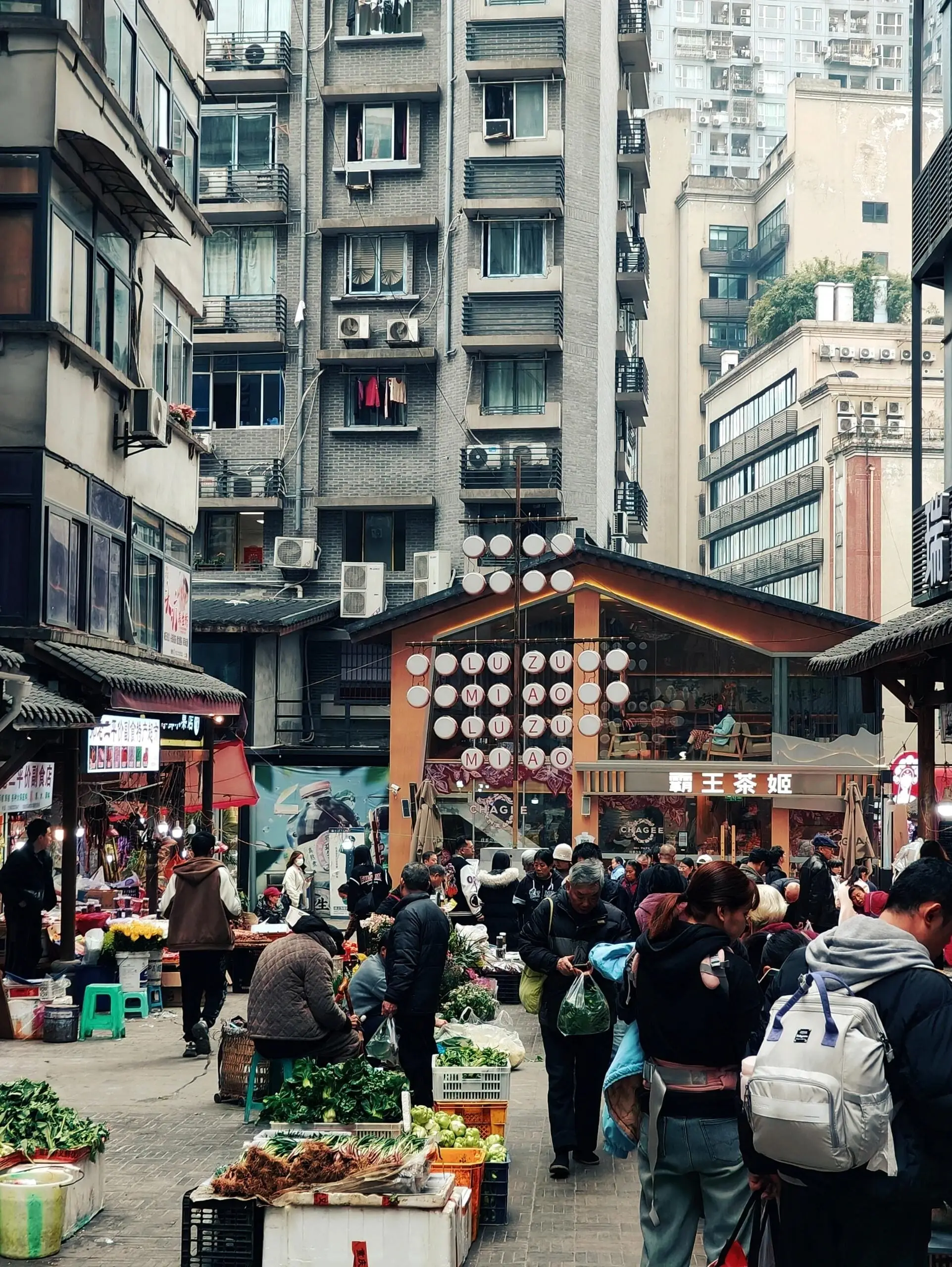 Luzumiao Flower Market - 鲁祖庙花市 Chongqing Tourist Attraction