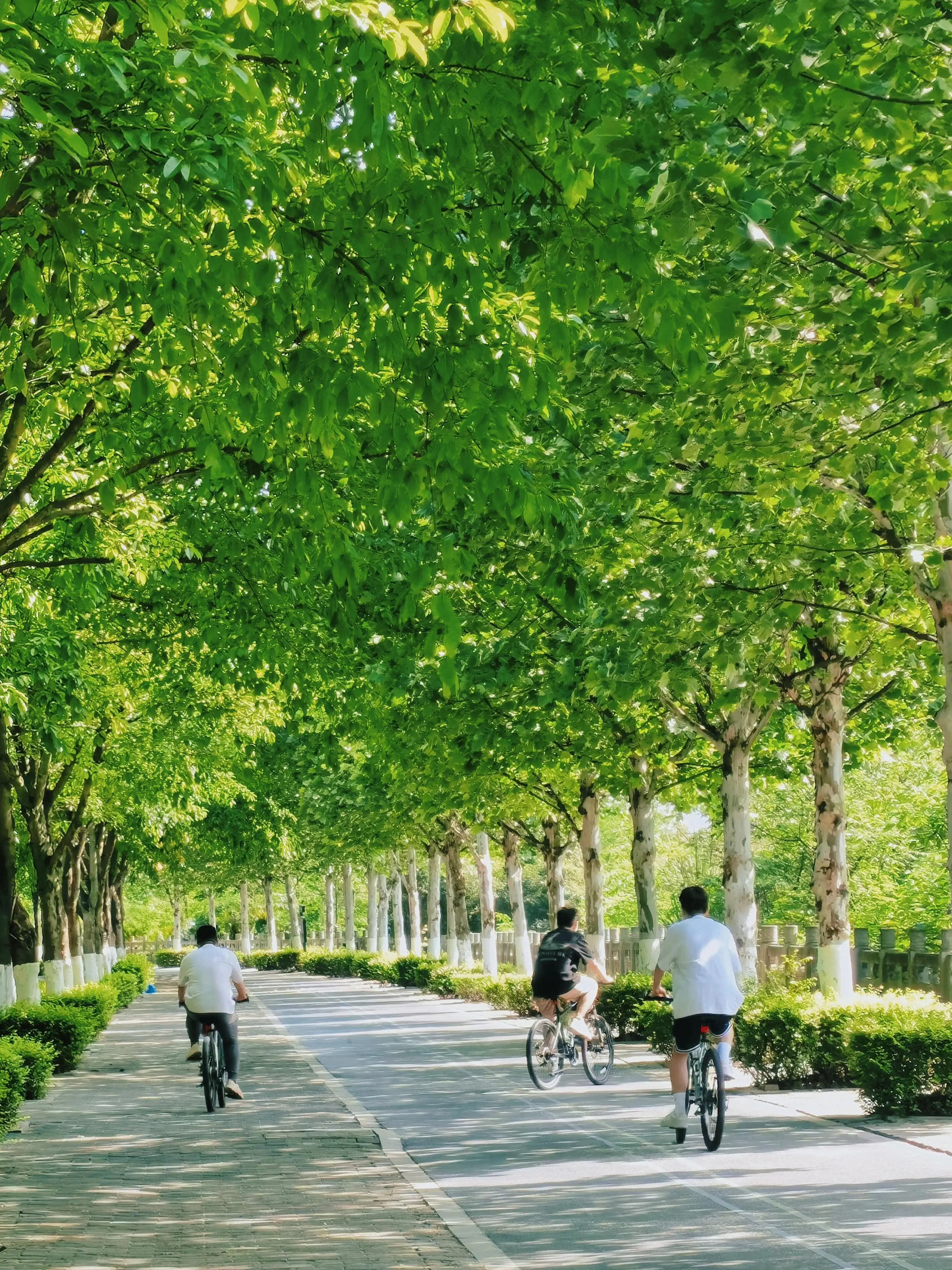 Jinhai Bay Park - 金海湾滨江公园 Chongqing Tourist Attraction