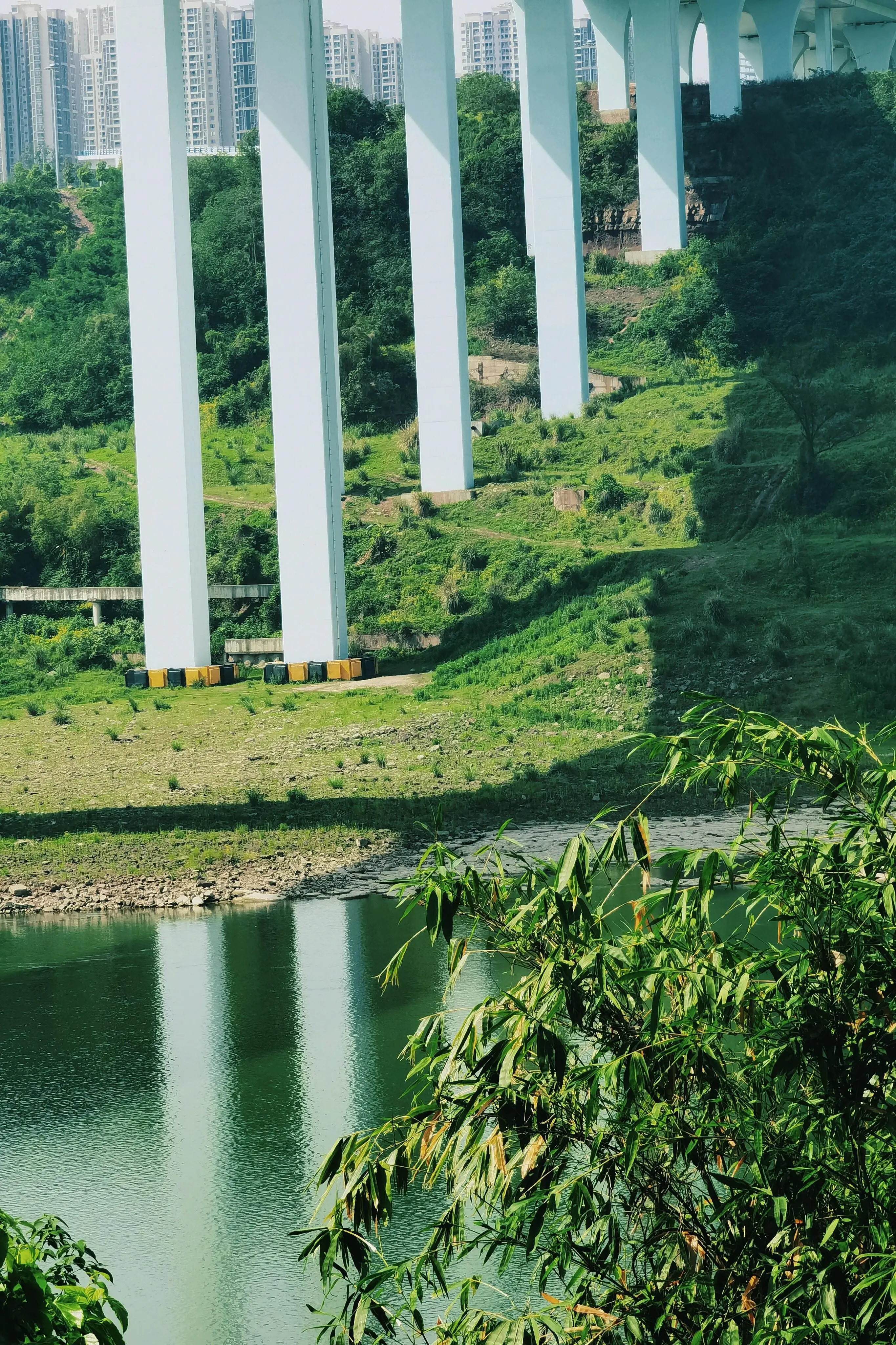 Jinhai Bay Park - 金海湾滨江公园 Chongqing Tourist Attraction
