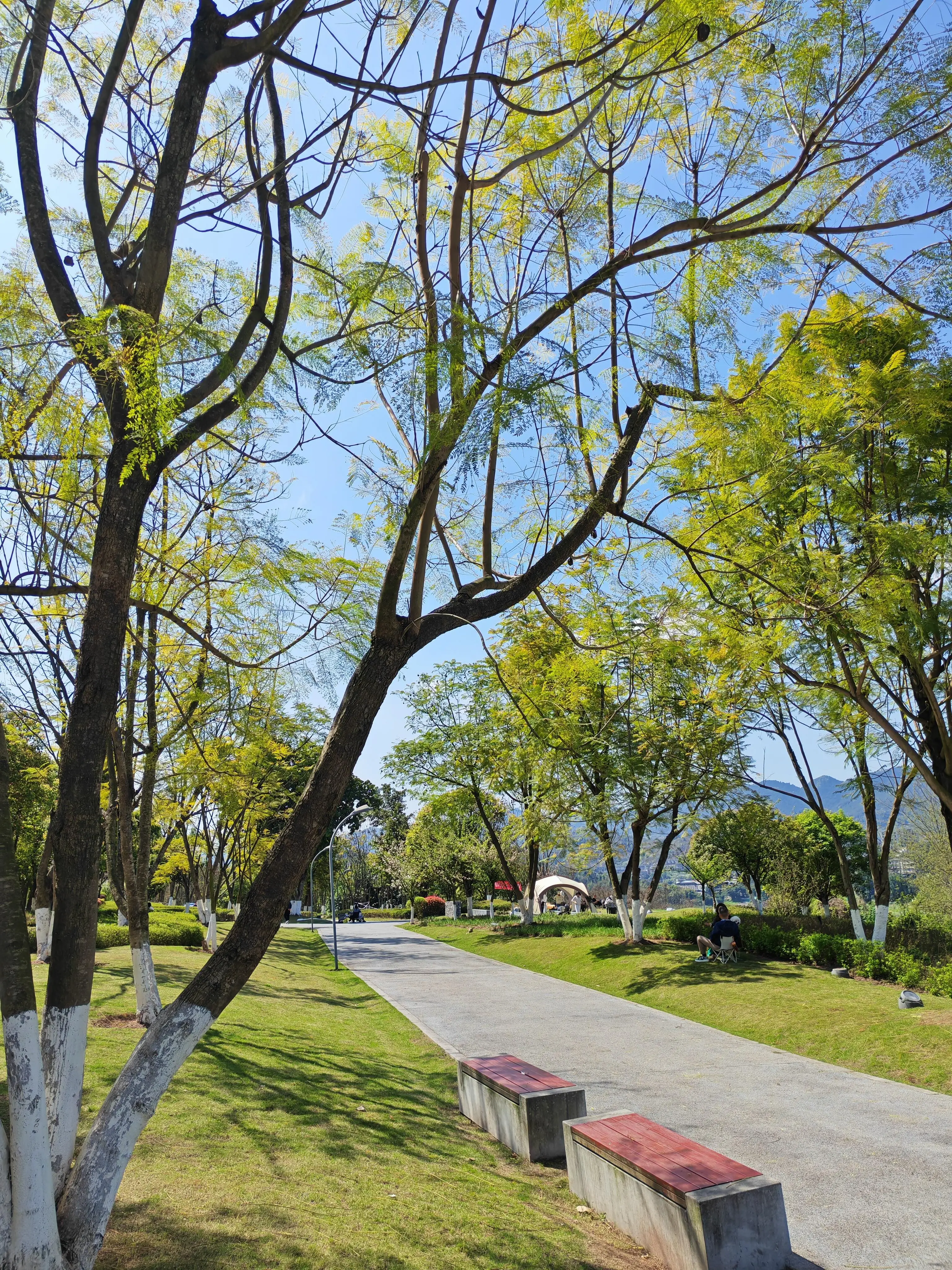 Jinhai Bay Park - 金海湾滨江公园 Chongqing Tourist Attraction