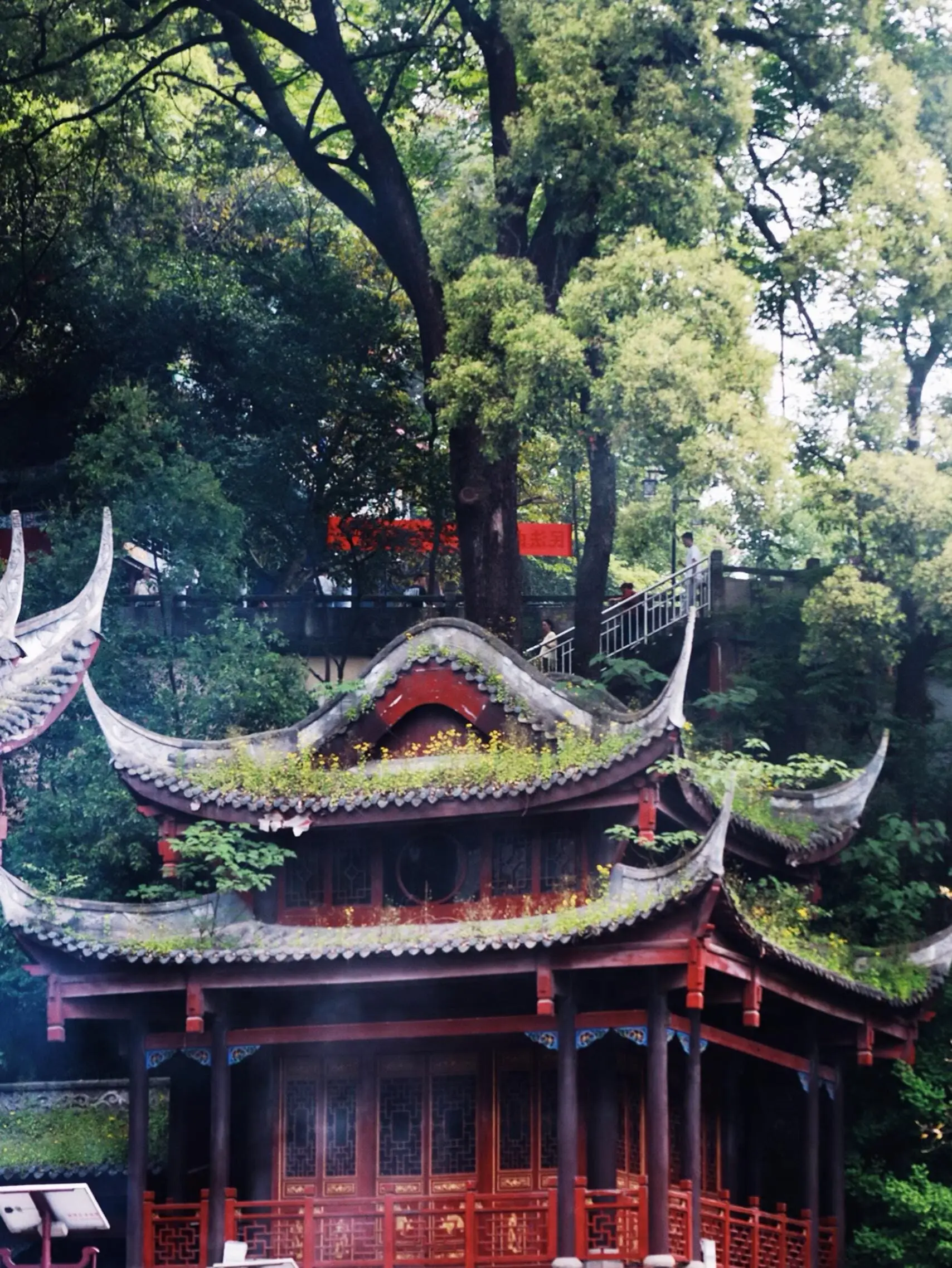 Laojun Cave - 老君洞 Chongqing Tourist Attraction