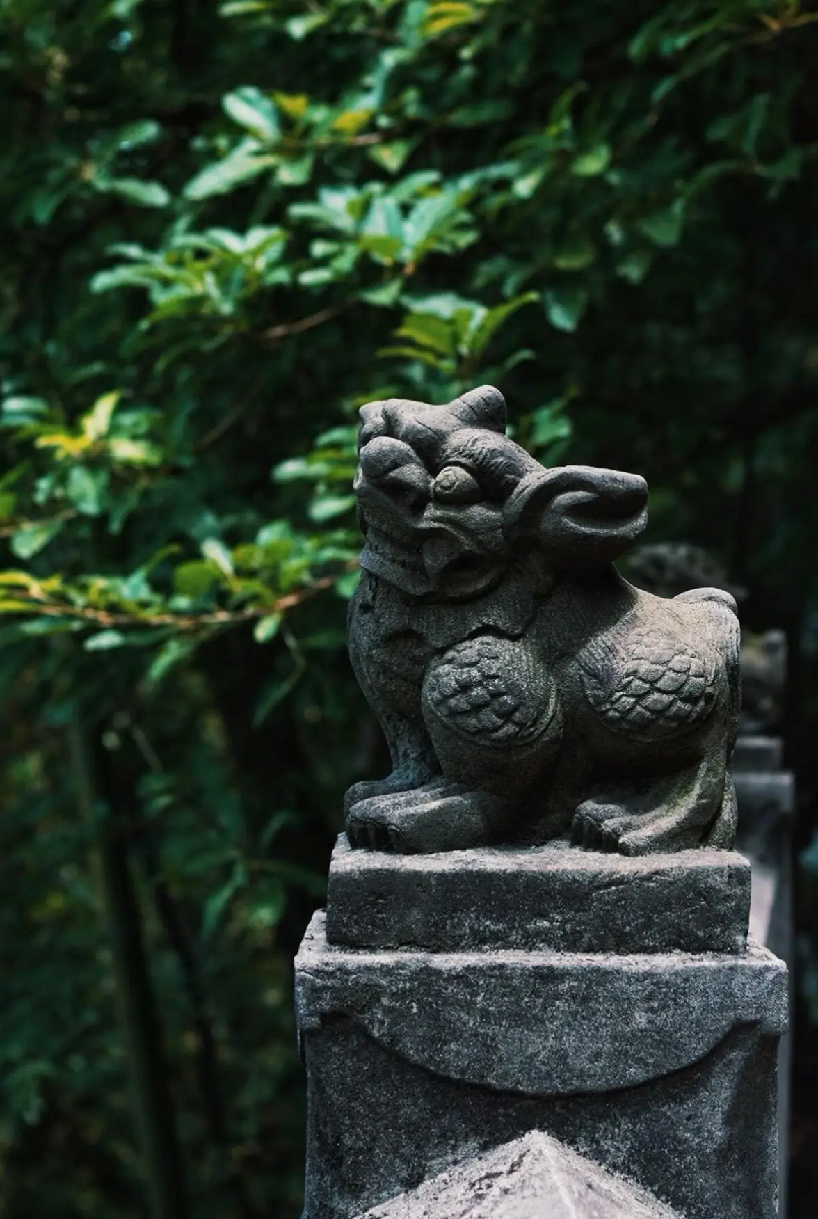 Laojun Cave - 老君洞 Chongqing Tourist Attraction