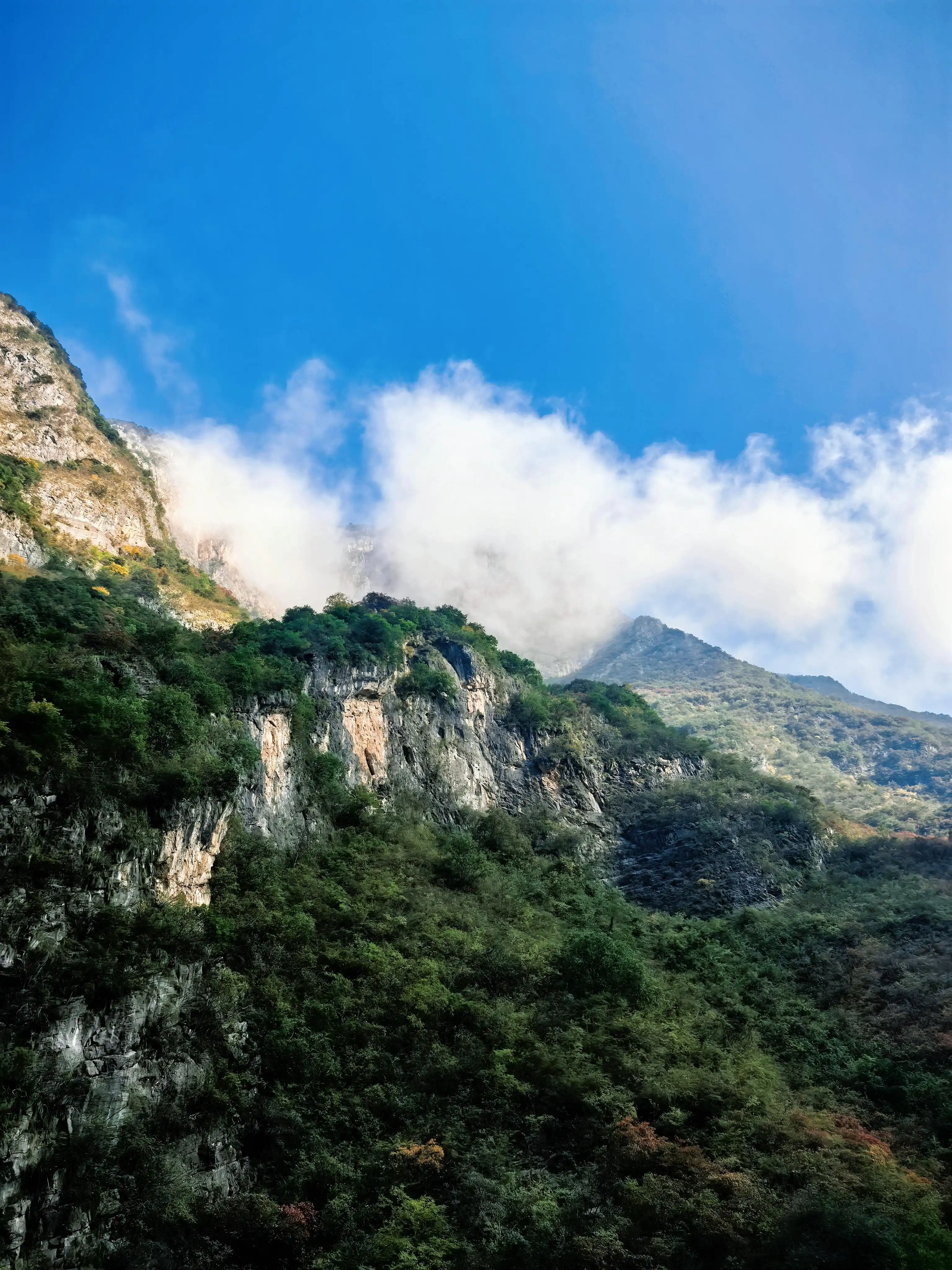 Lesser Three Gorges - 巫山小三峡 Chongqing Tourist Attraction
