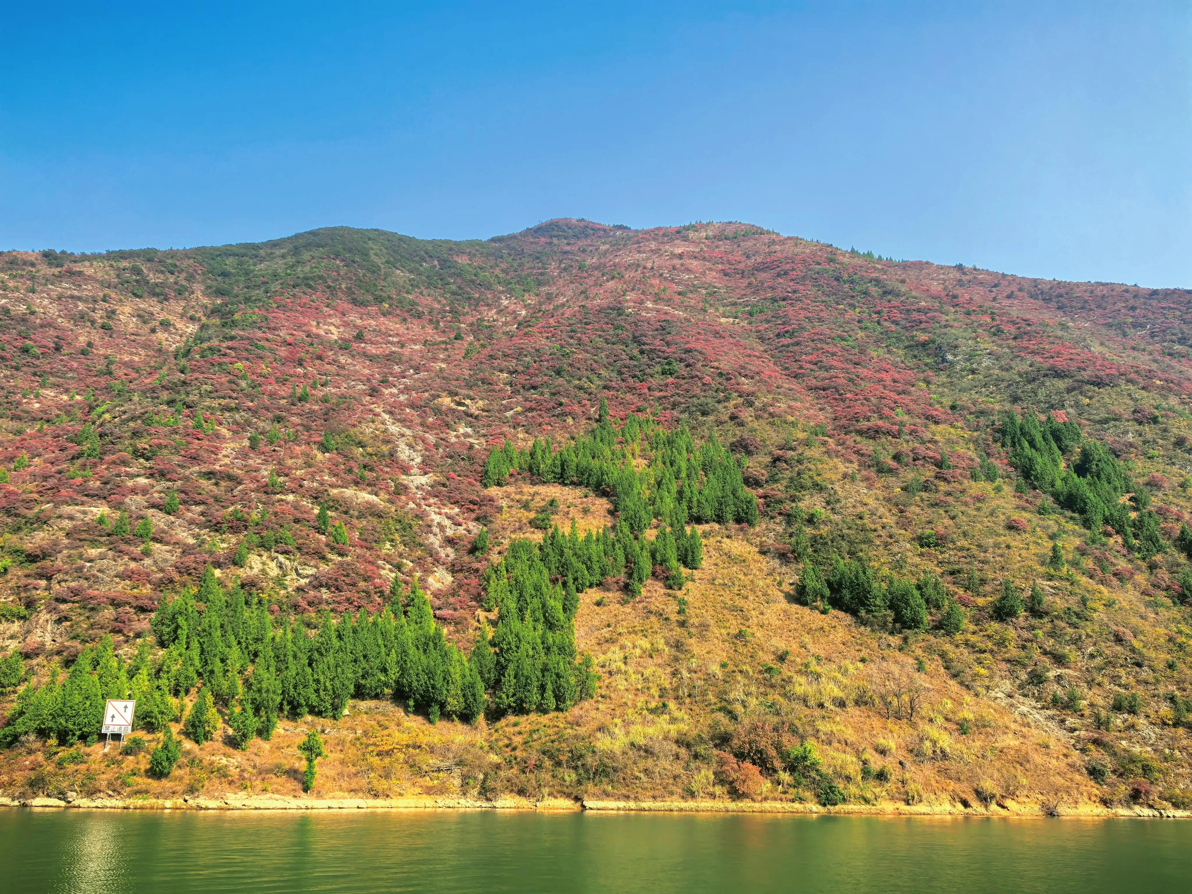 Lesser Three Gorges - 巫山小三峡 Chongqing Tourist Attraction