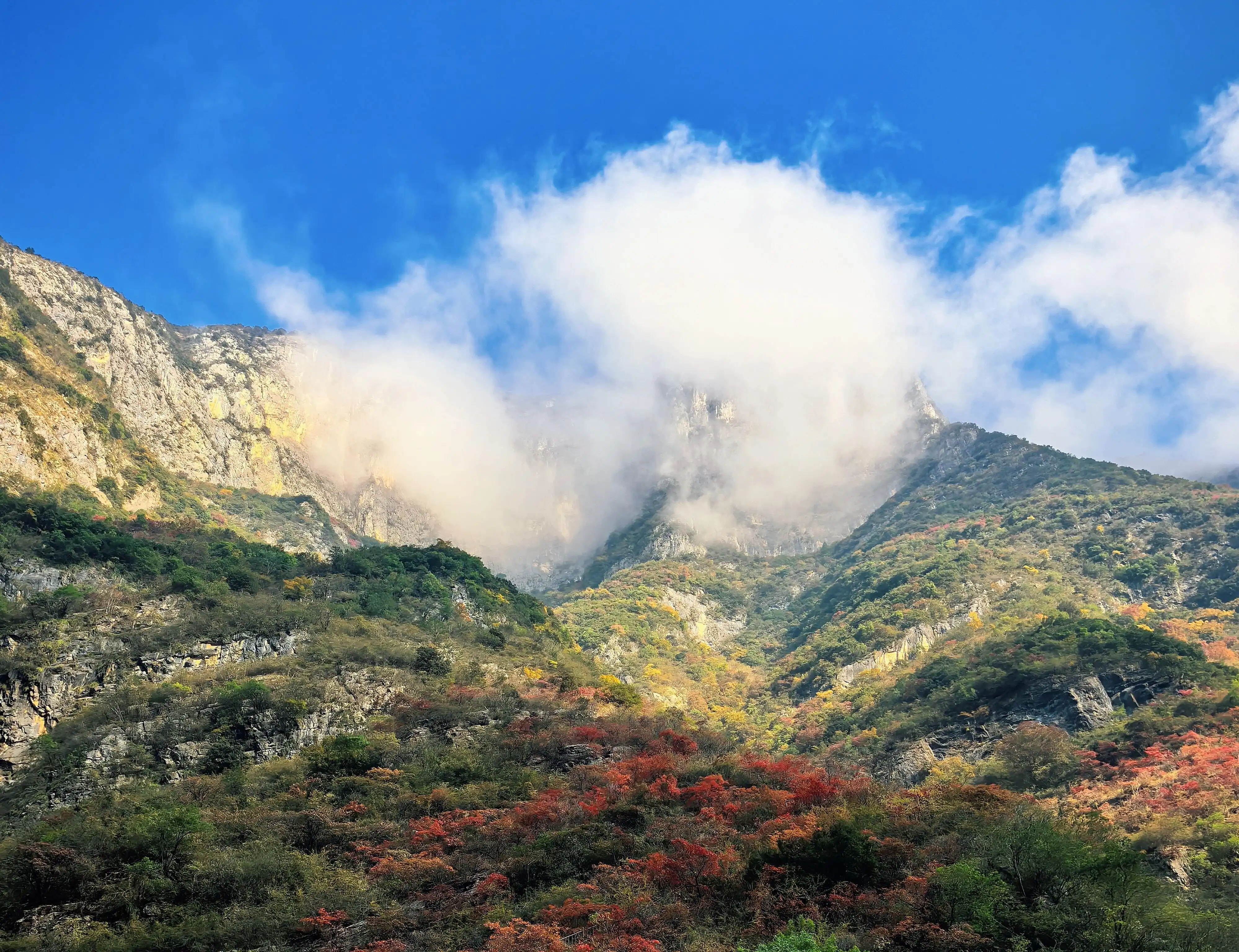 Lesser Three Gorges - 巫山小三峡 Chongqing Tourist Attraction