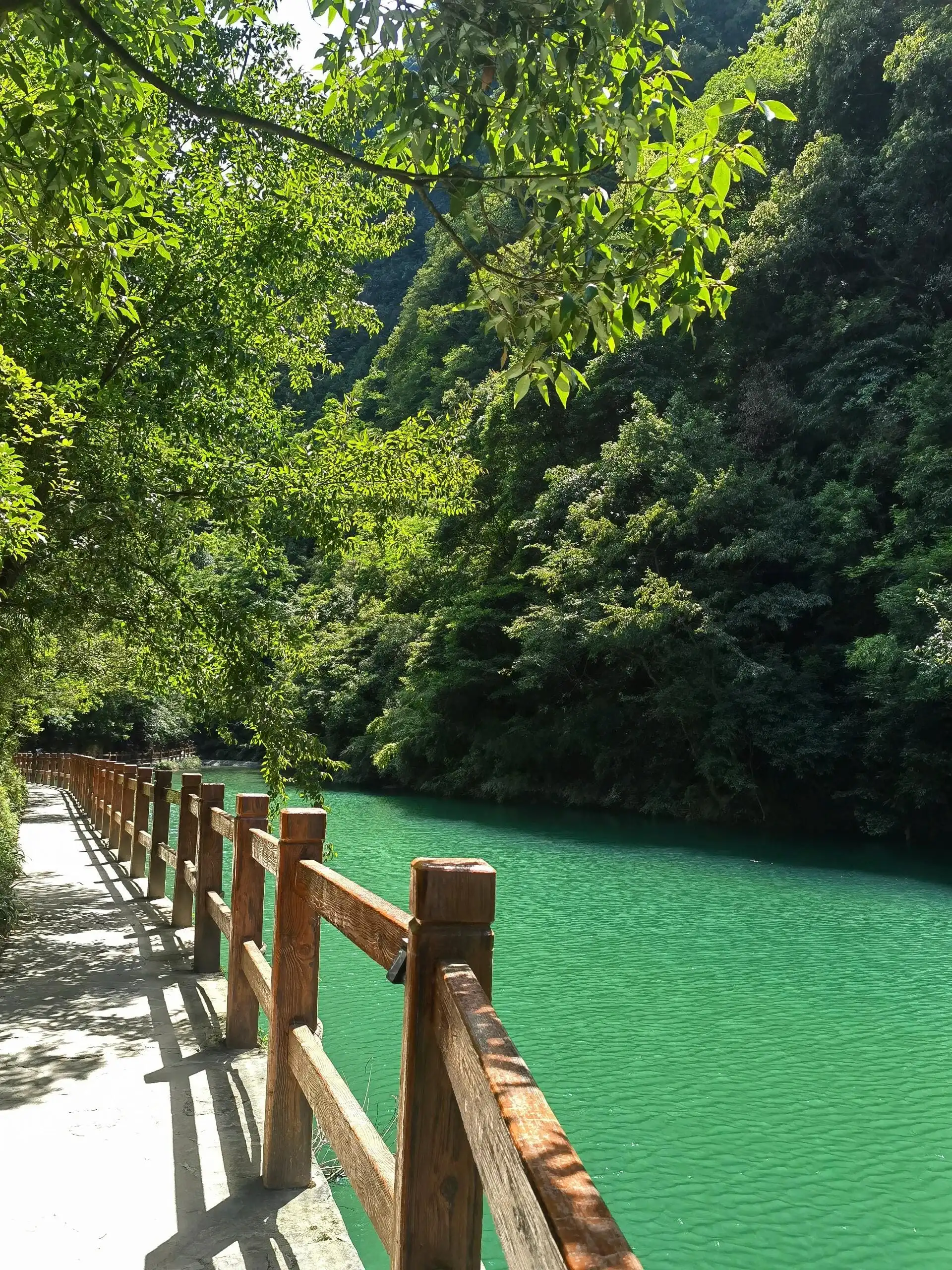 Mount Jinfo - 南川金佛山 Chongqing Tourist Attraction