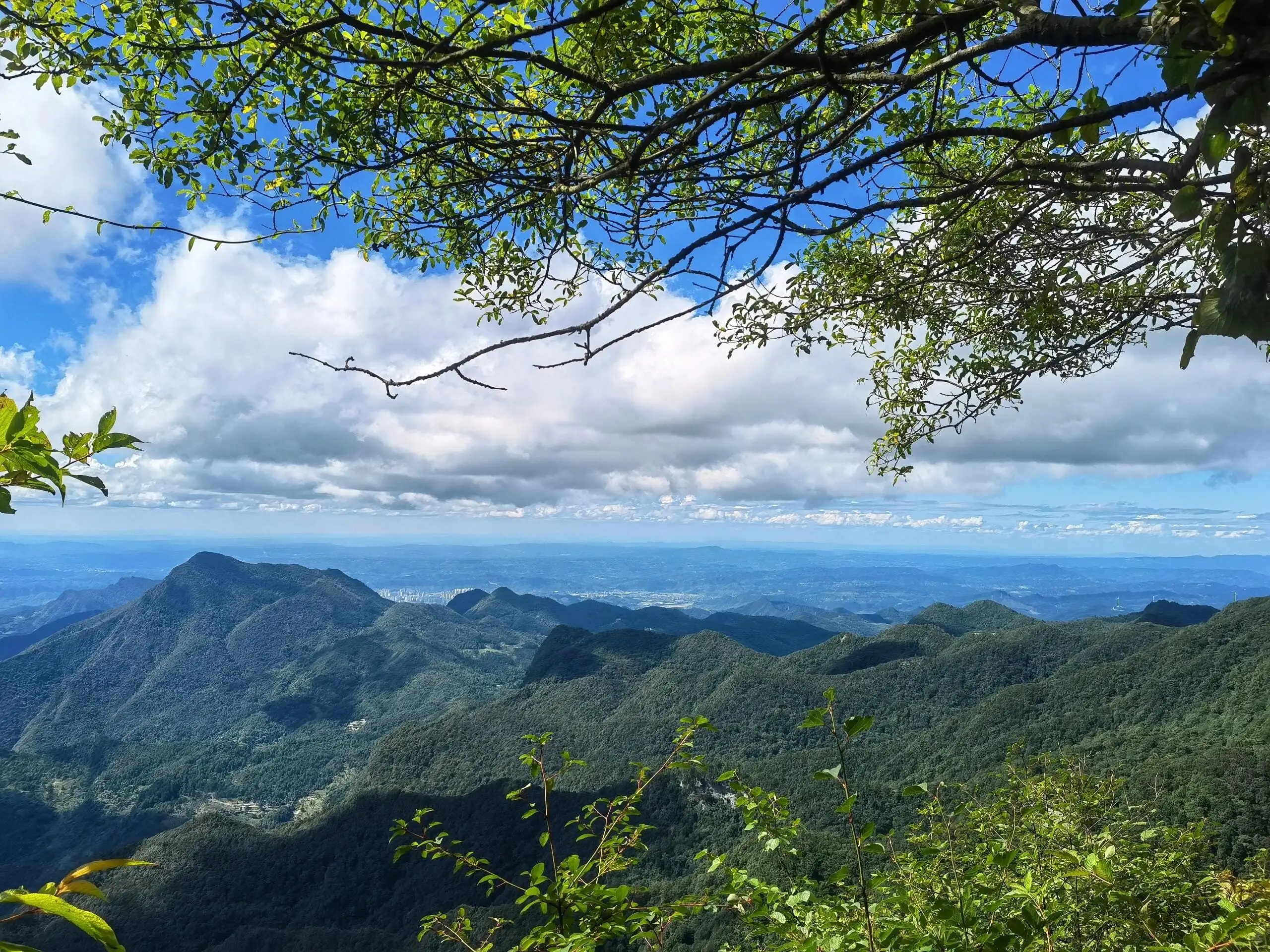 Mount Jinfo - 南川金佛山 Chongqing Tourist Attraction