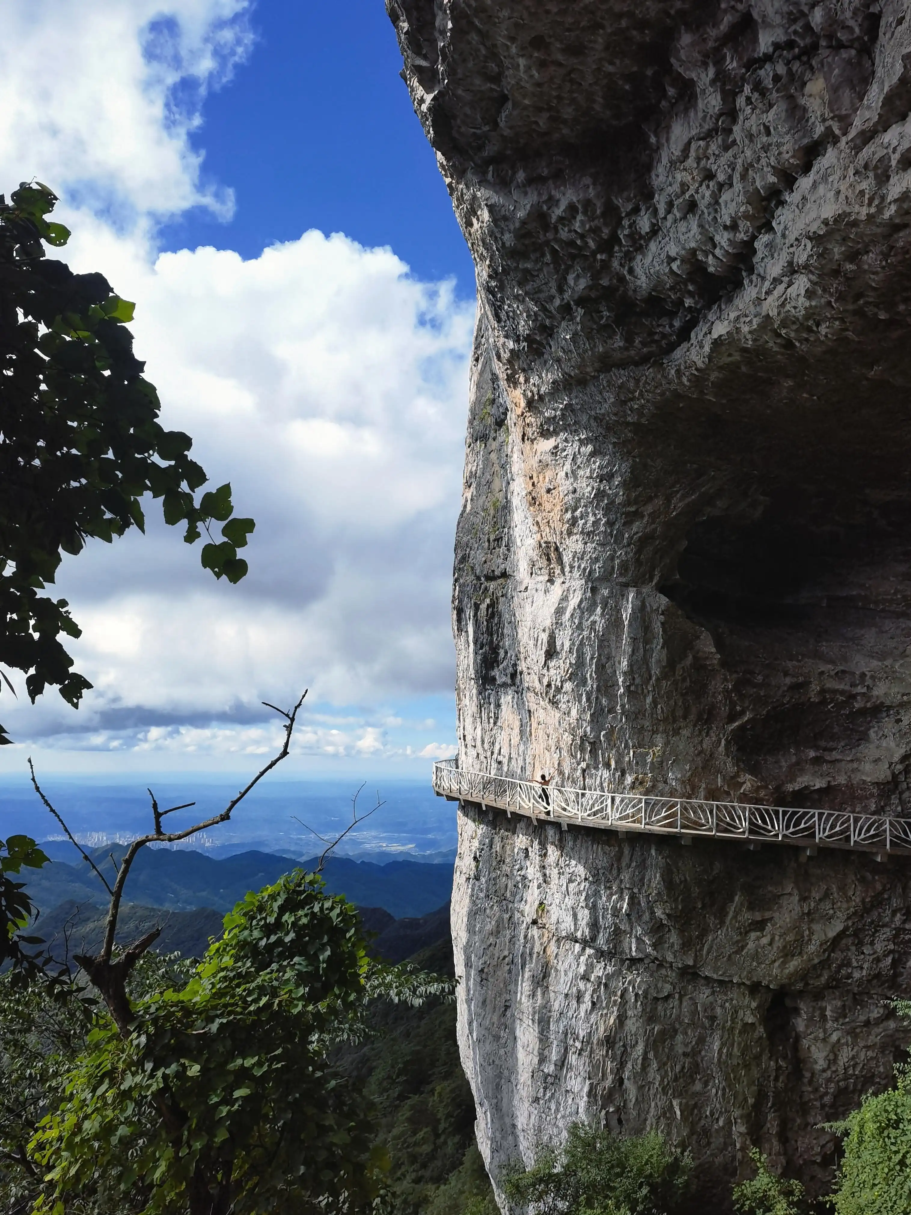 Mount Jinfo - 南川金佛山 Chongqing Tourist Attraction