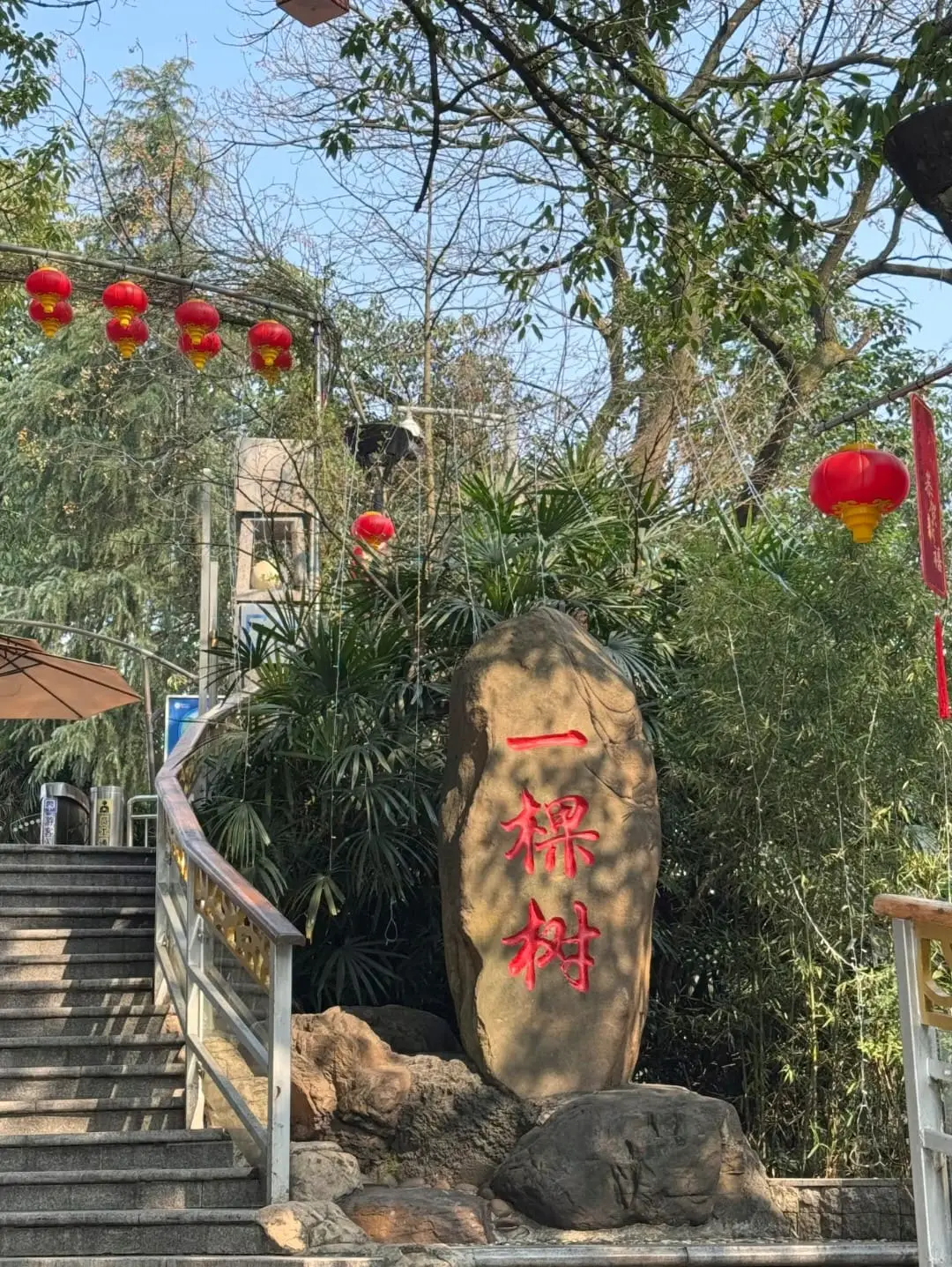 One Tree Observatory - 南山一棵树 Chongqing Tourist Attraction