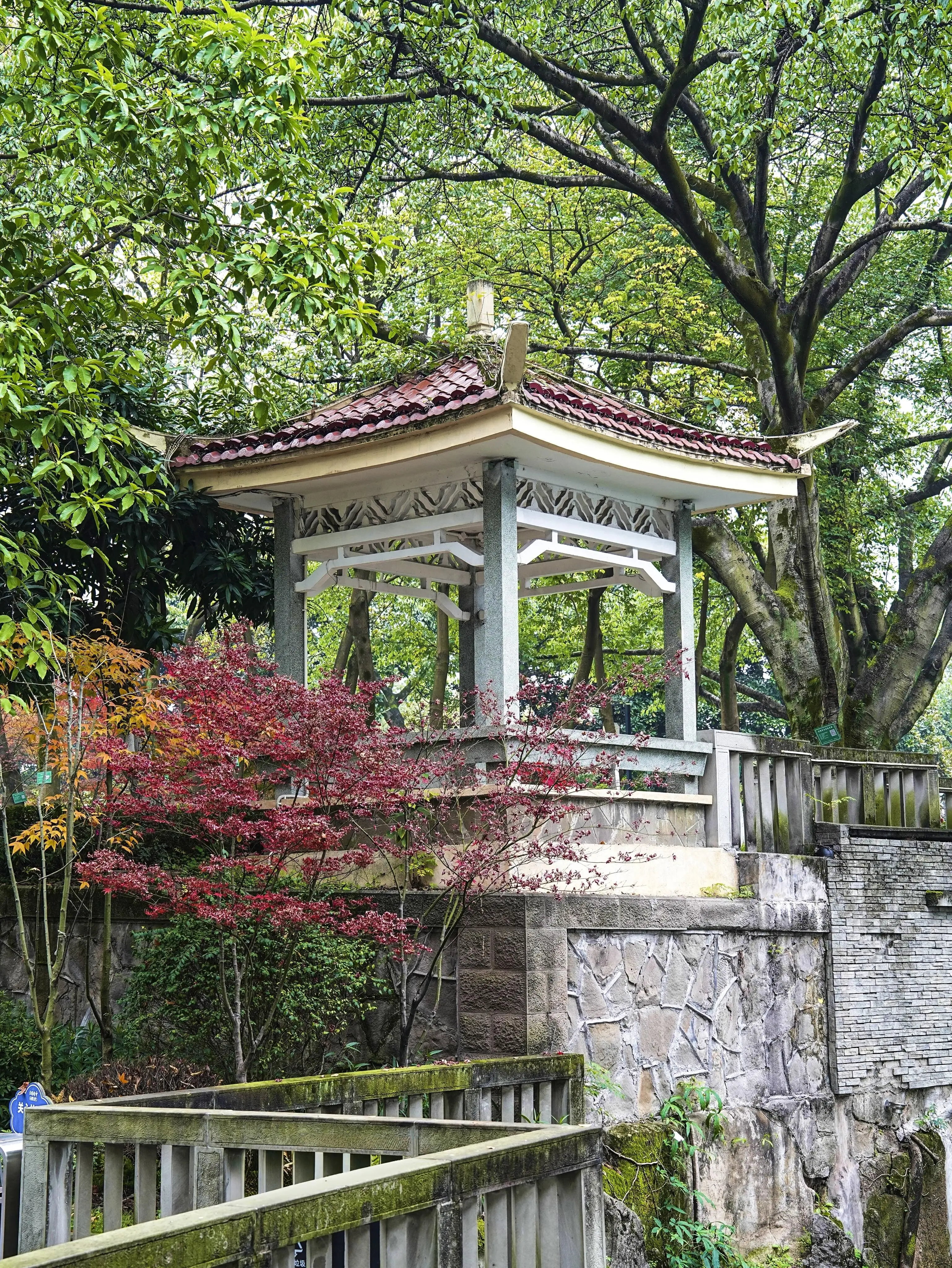 Pipa Mountain Park - 枇杷山公园 Chongqing Tourist Attraction