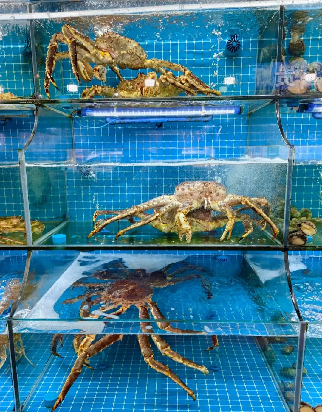 Sanyawan Seafood Market - 三亚湾海鲜市场 Chongqing Tourist Attraction