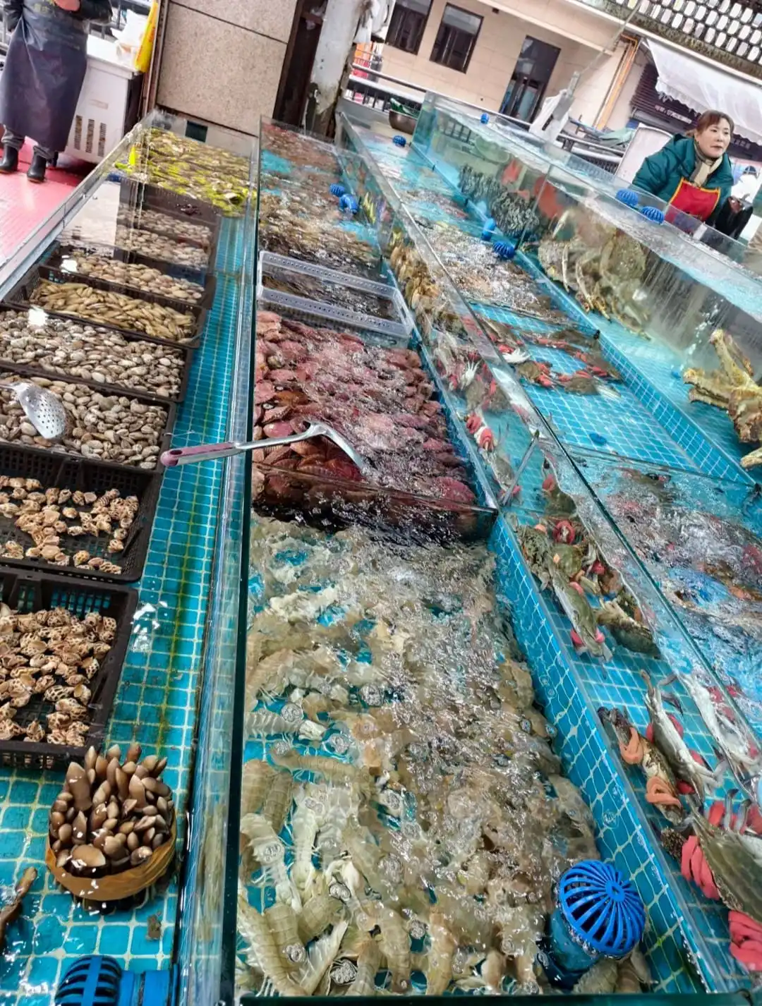 Sanyawan Seafood Market - 三亚湾海鲜市场 Chongqing Tourist Attraction