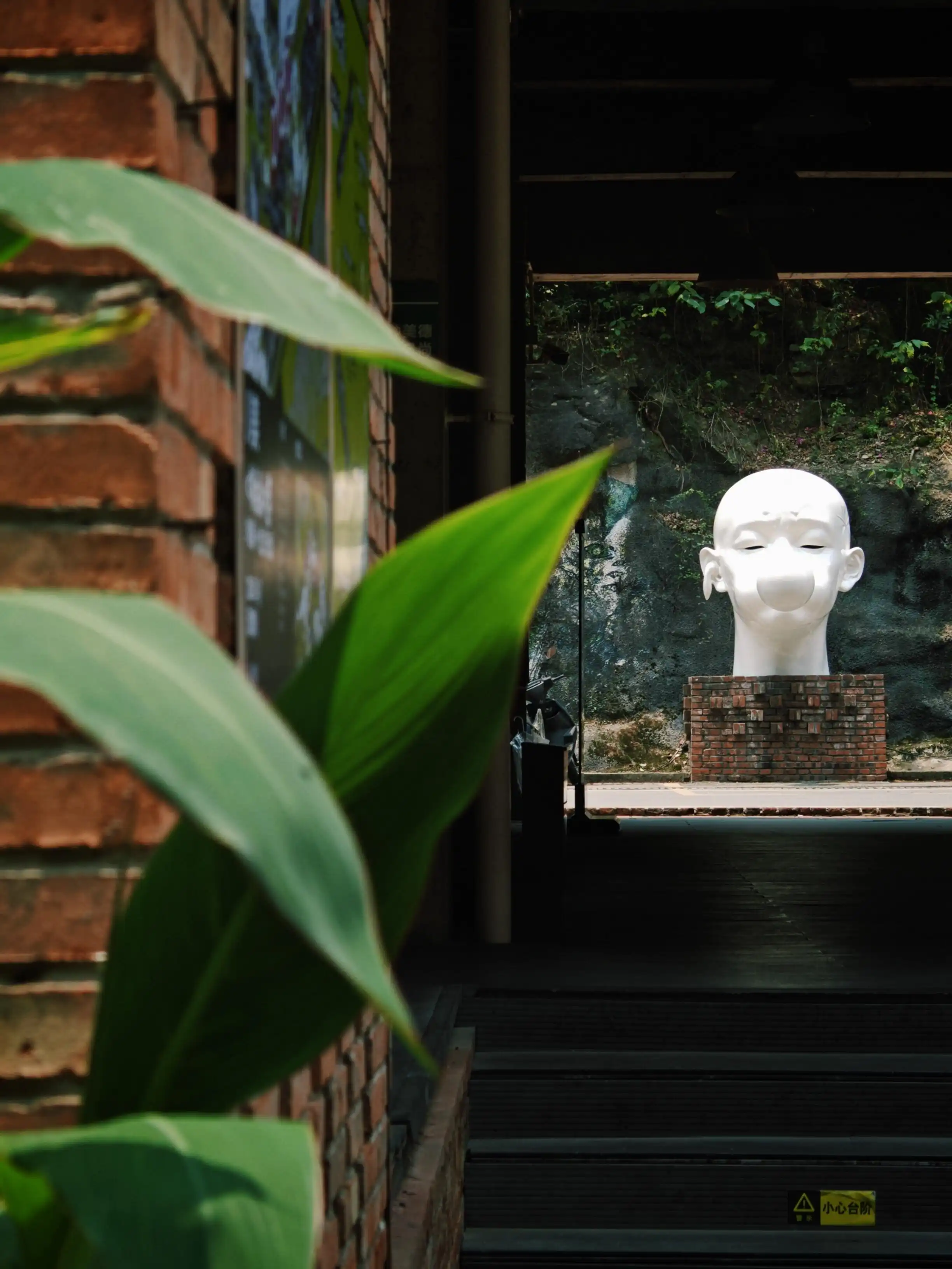 SCFAI Huxi Commune - 川美虎溪公社 Chongqing Tourist Attraction